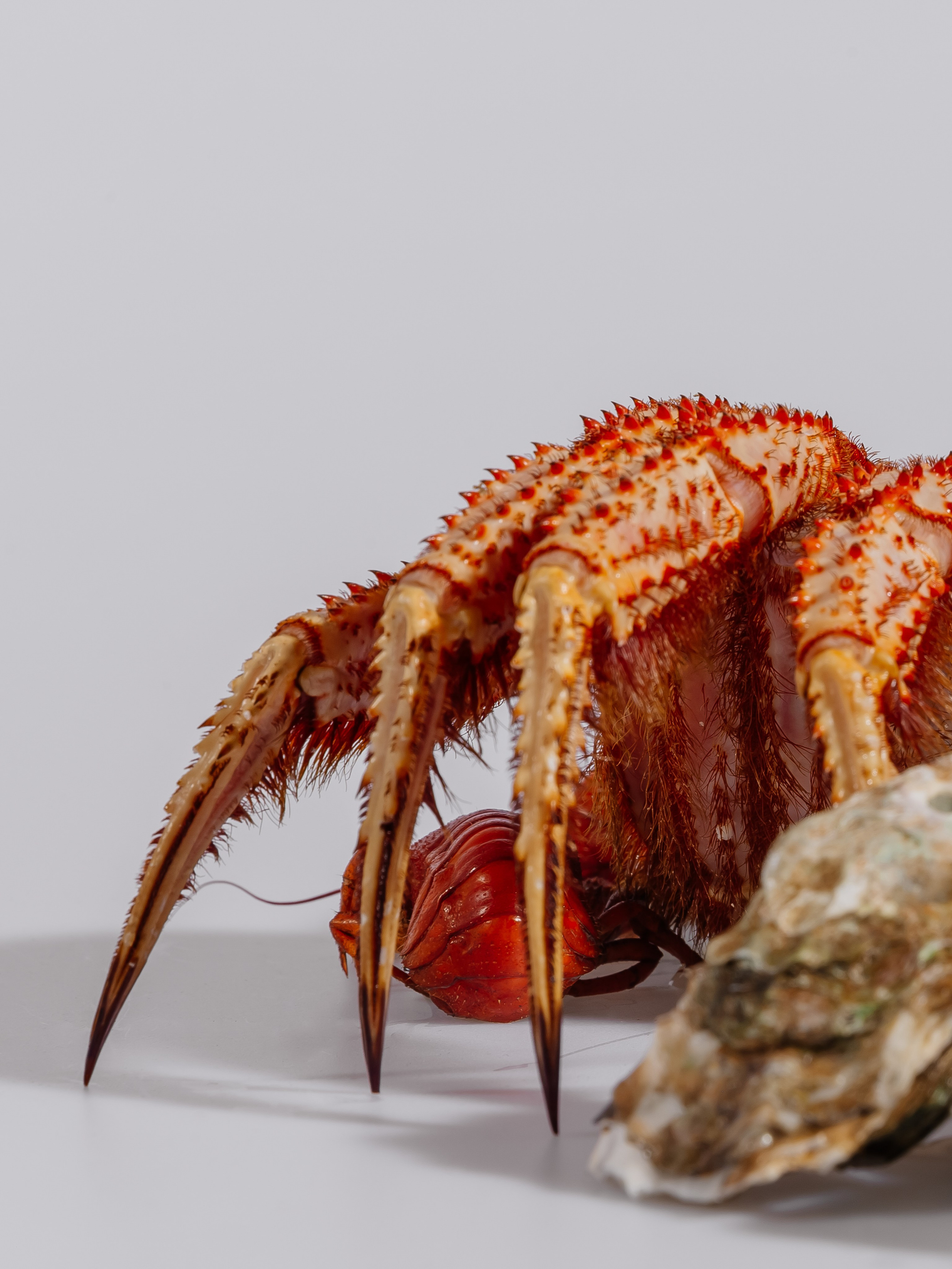 Splash.sea. Профессиональный фотограф Инесса Новикова в Москве