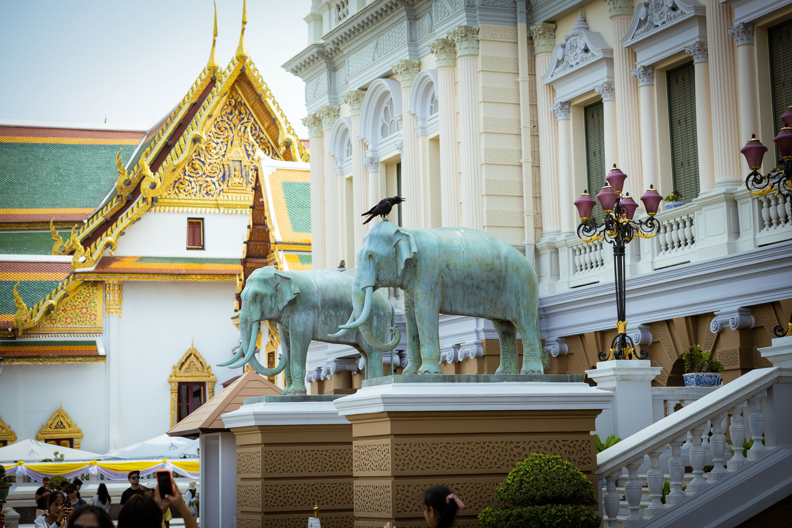 Таиланд (зима 2025). Фотограф Виноградов Константин