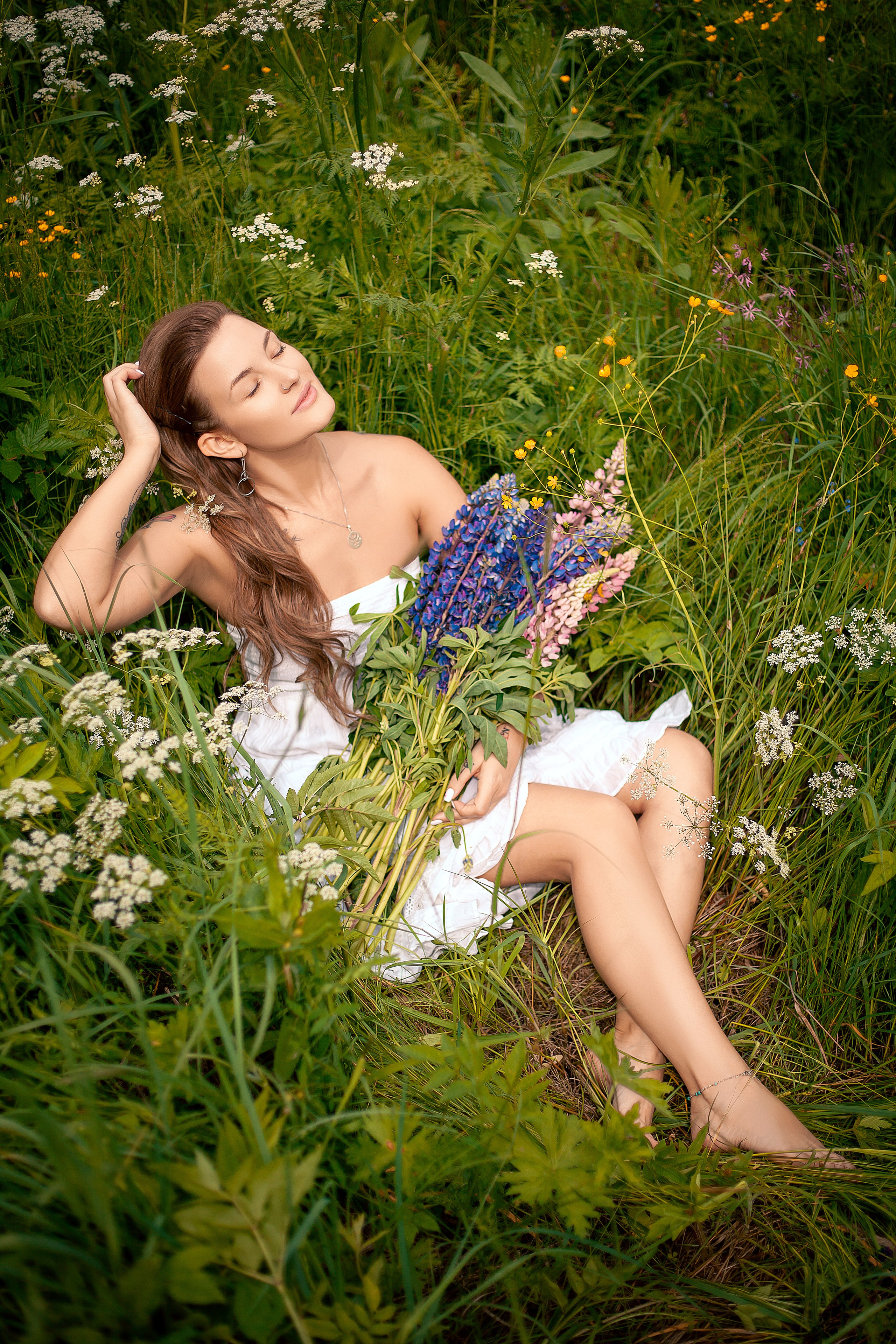 Люпины. Фотограф Мария Кольцова