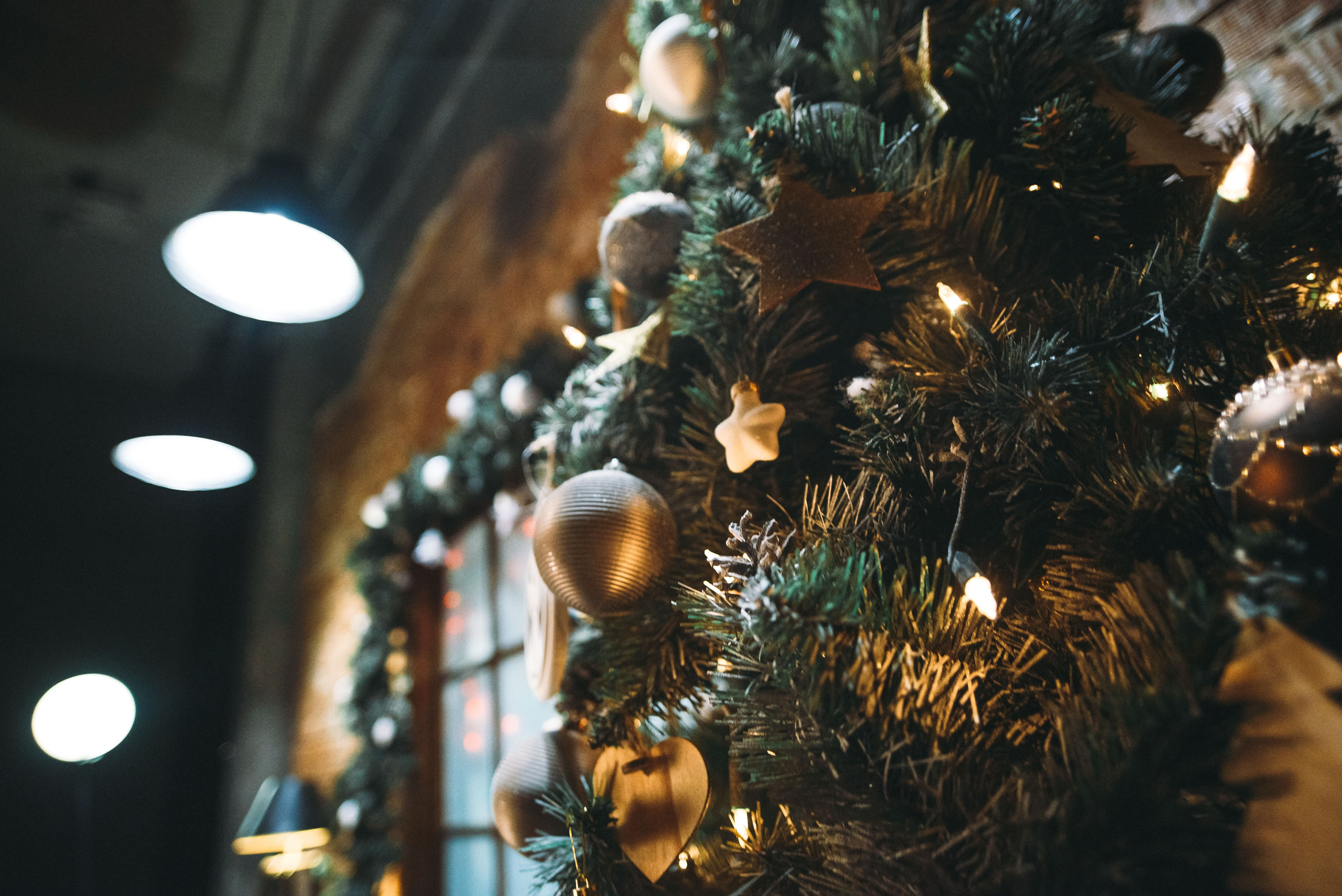 Британский новый год. Свадебный и семейный фотограф в Минске Филиппович Александр