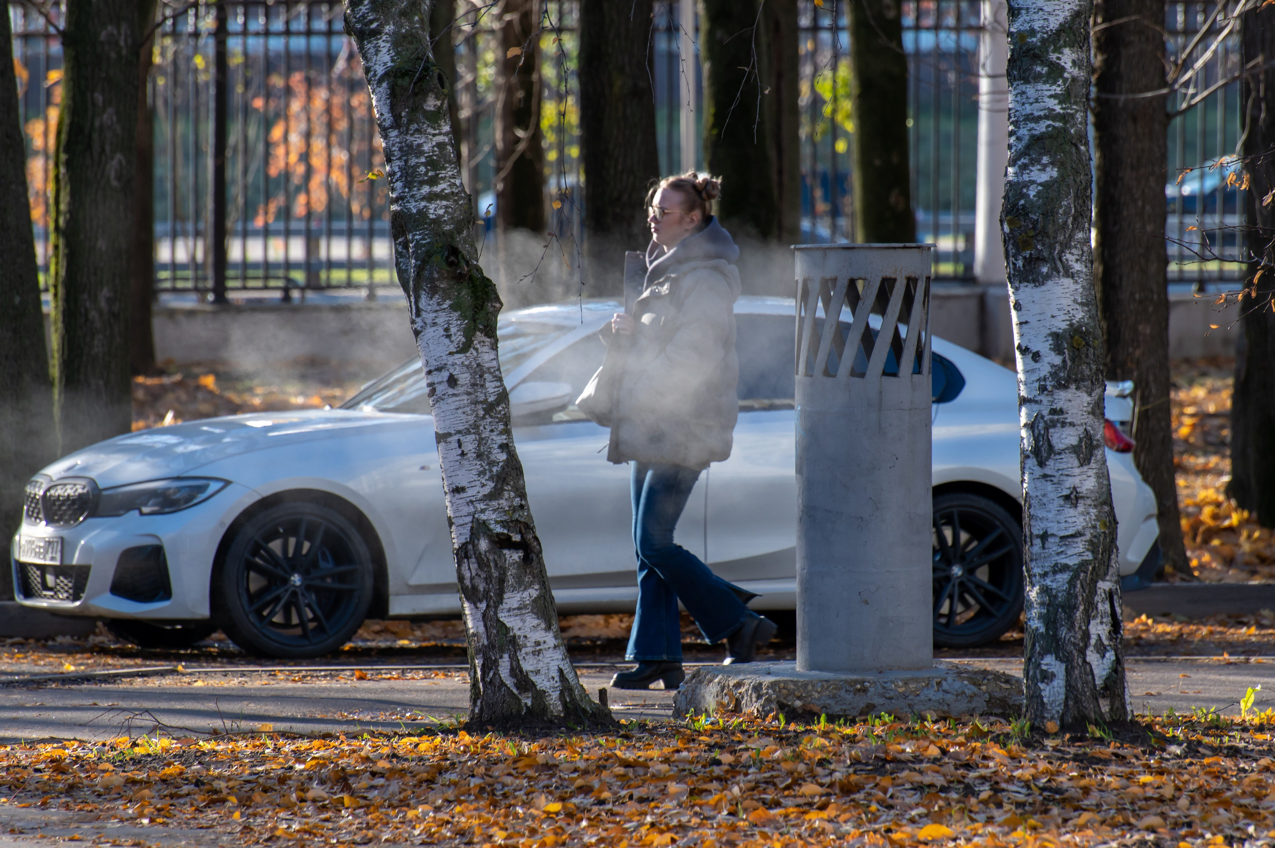 20241102 МГУ. Дмитрий Ремизов. Фотография, как хобби