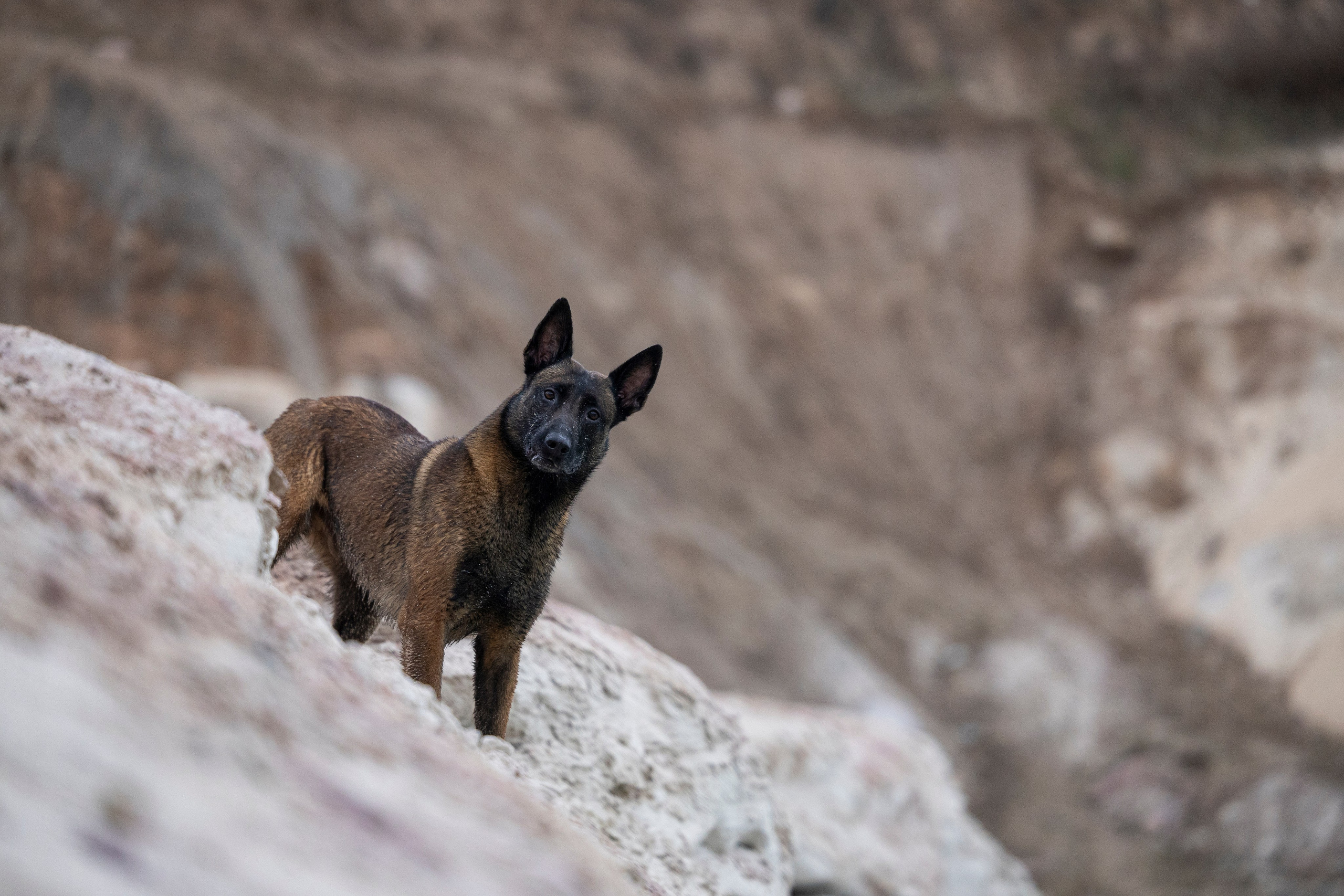 Лужские Мальдивы. Фотограф-анималист Анна Маринич