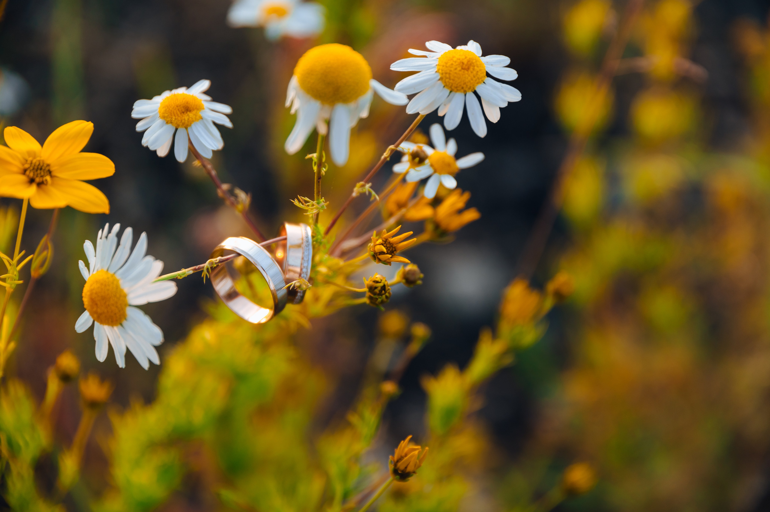 Надя и Женя. Детский и семейный фотограф Катерина Мишина
