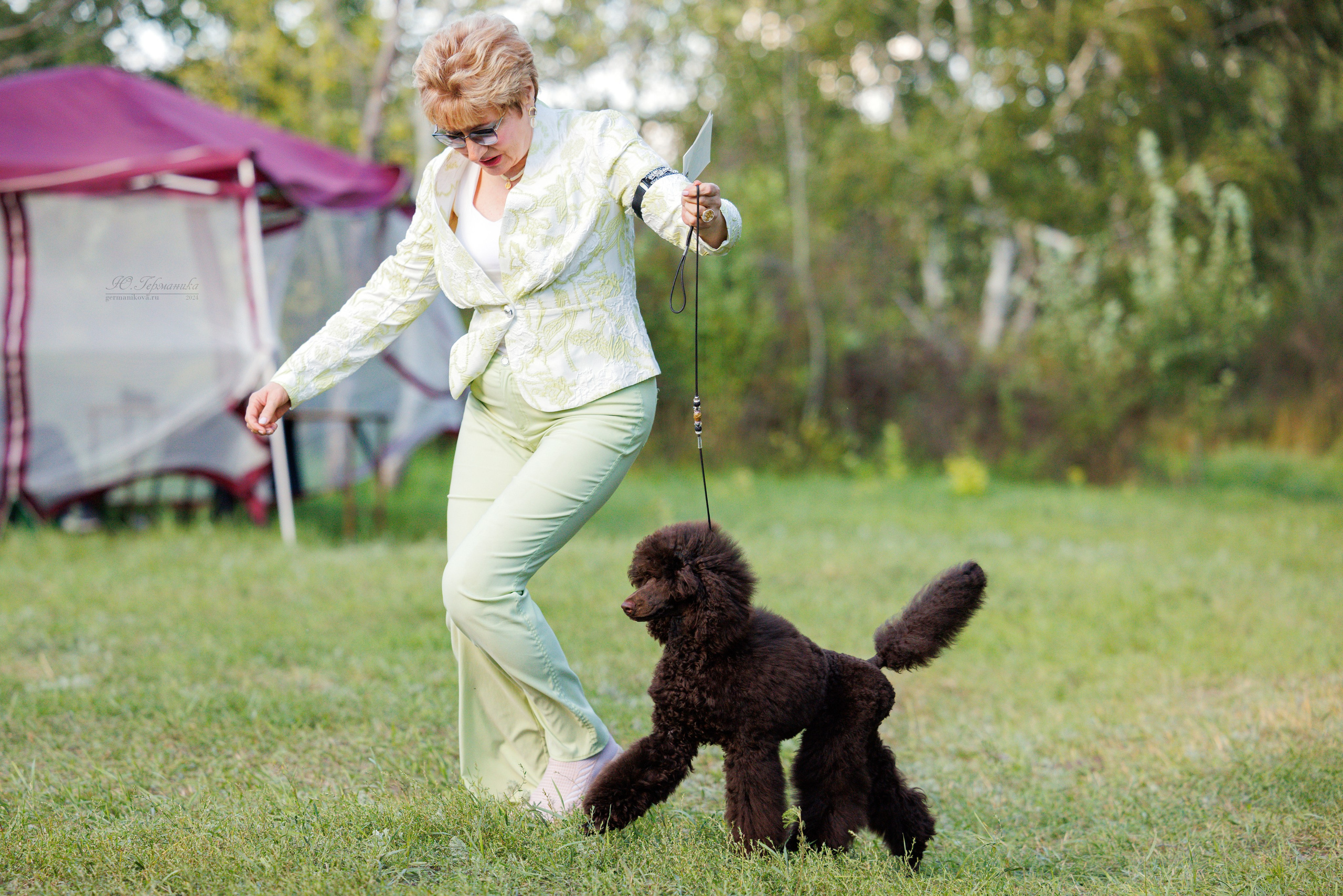 Астана 2хCACIB 17-18.08.2024. Фотограф-анималист Юлия Германика