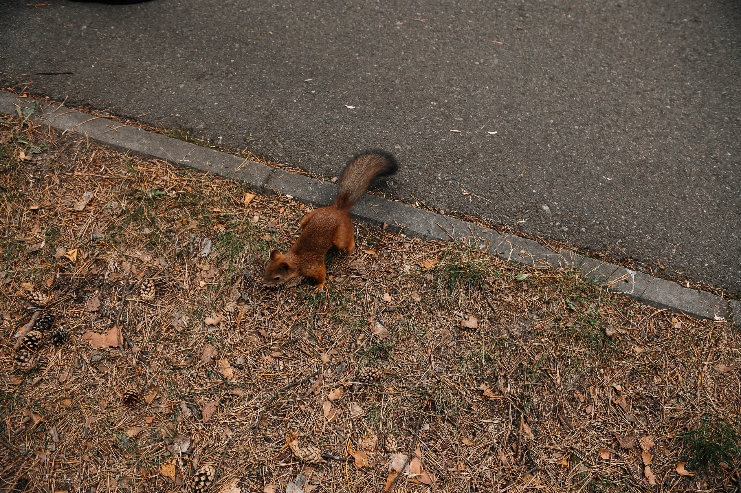 Александр и Ася. Фотограф в Сургуте Светлана Гибадуллина