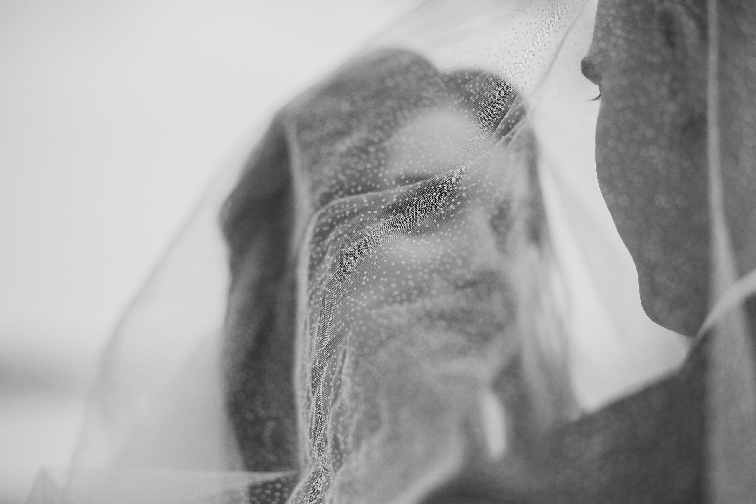 Свадебный переполох. Вера Соколова фотограф Воронеж