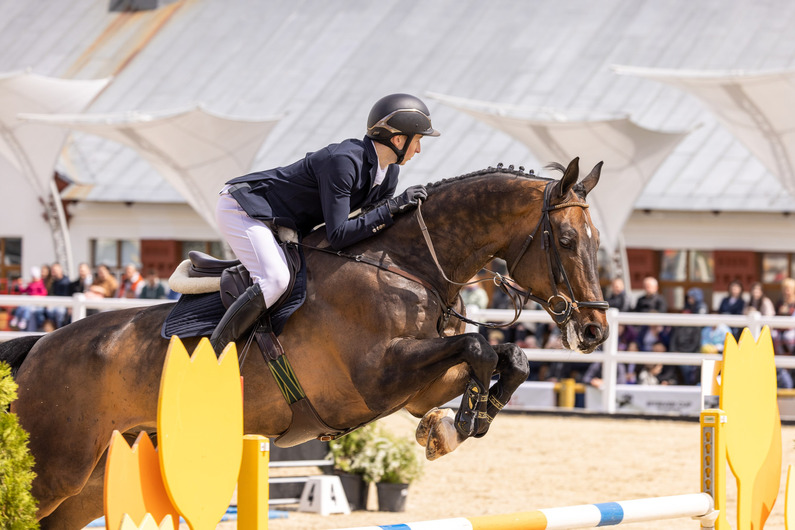 Конкур. Mrs.Aquarelia Конный фотограф Марианна Леонтьева