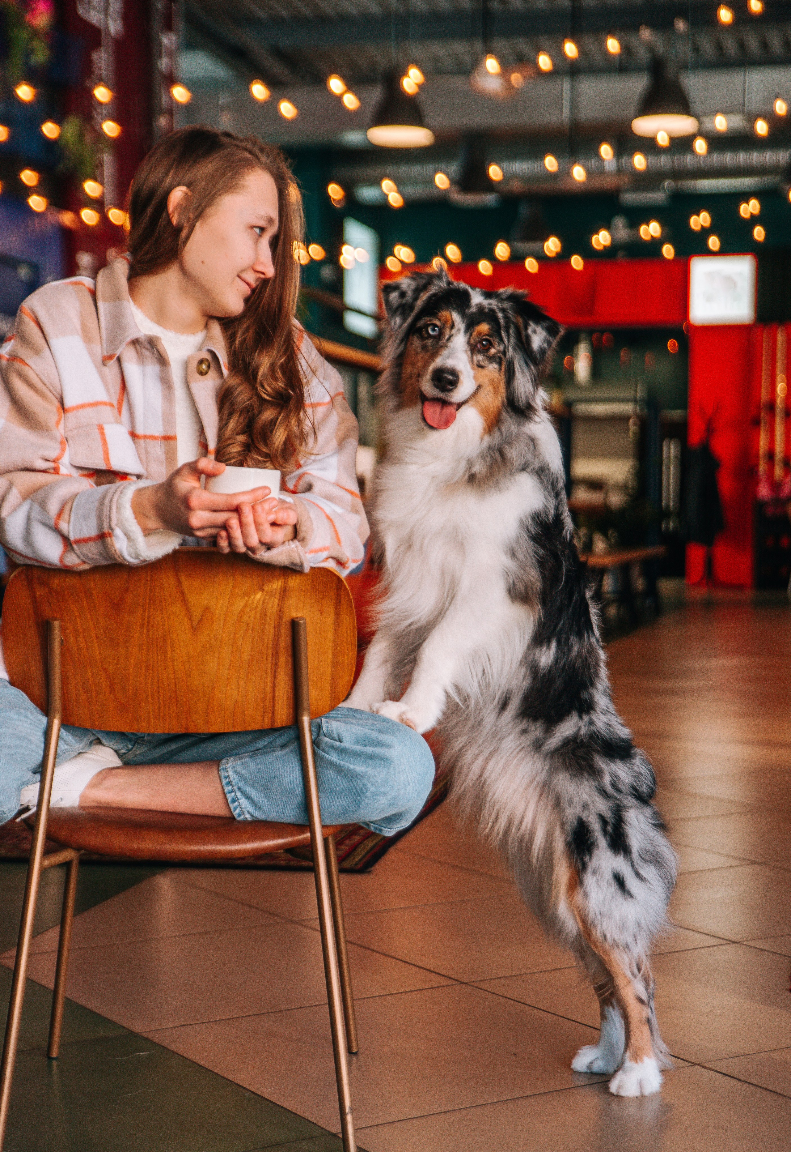 Лиза и Харли в кафе. Главная