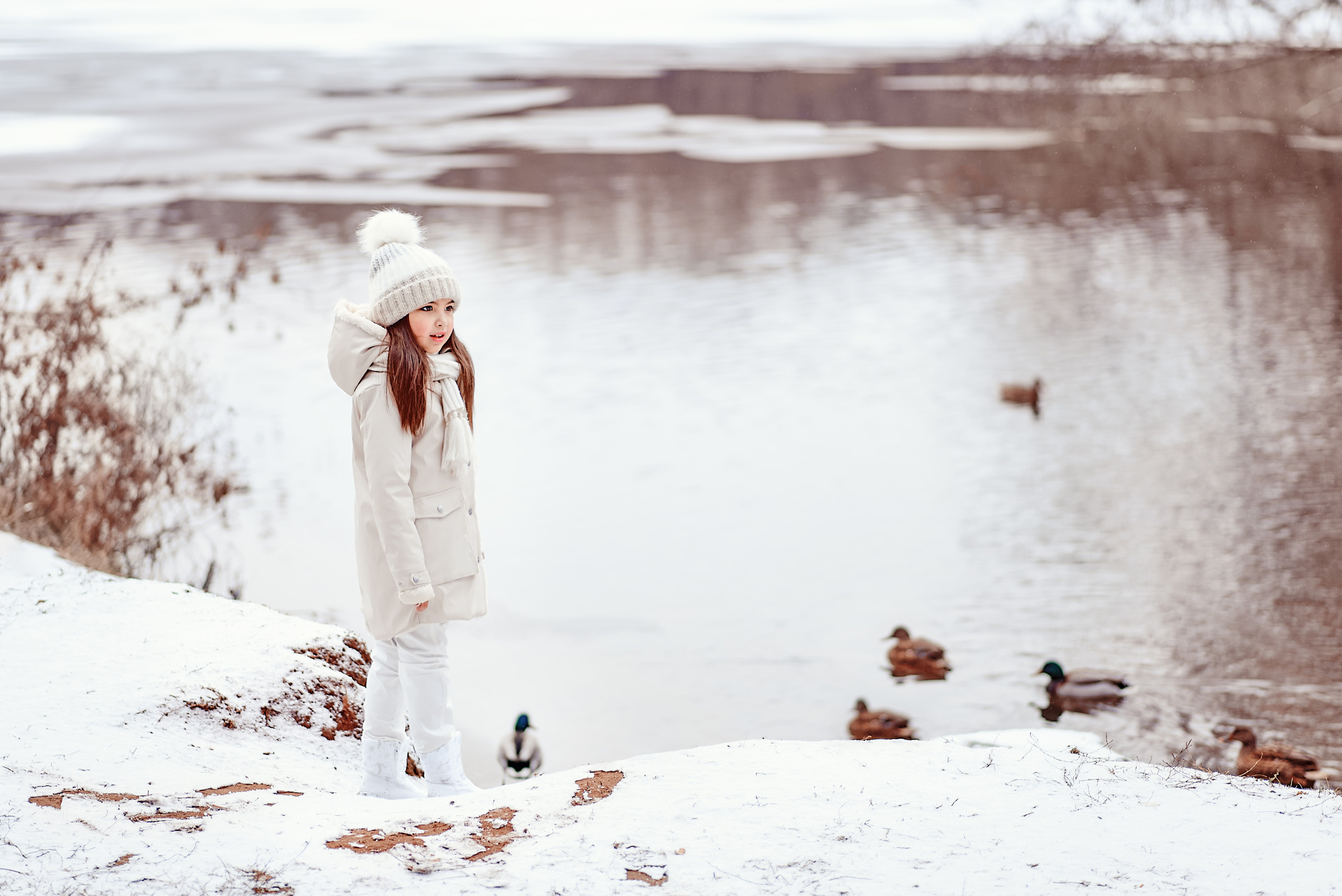 Девочка стоит на берегу озера, где плавают утки.