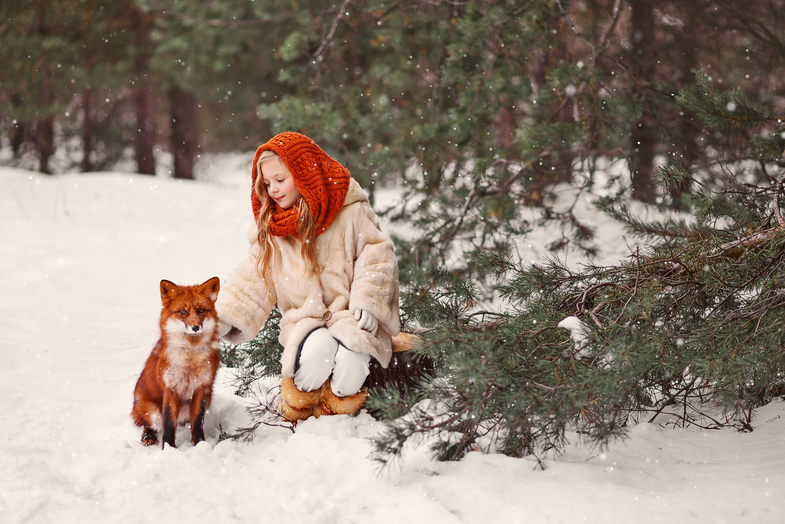 Девочка гладит рыжую лису во время зимней прогулки.
