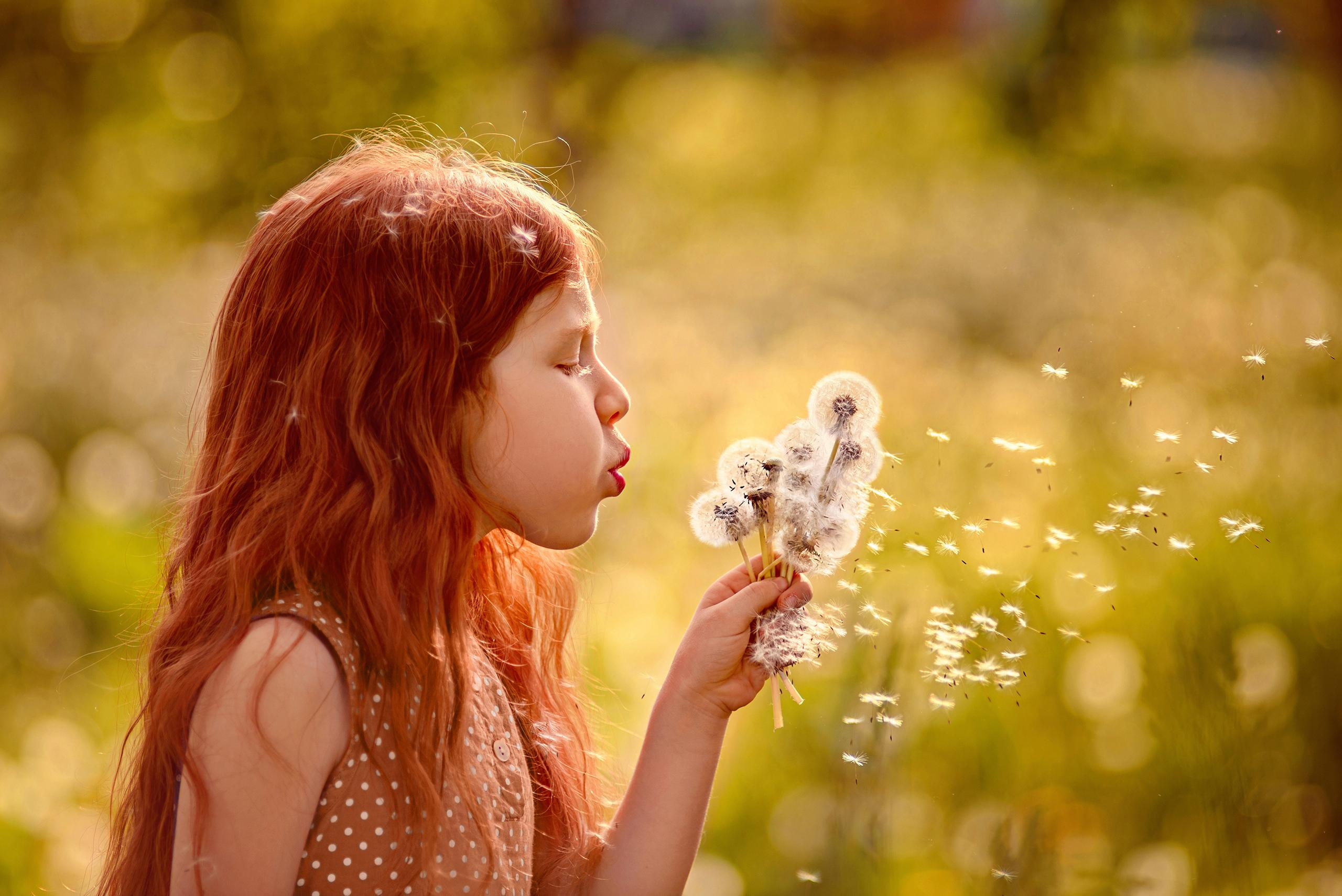 Рыжая девочка дует на букет из одуванчиков.