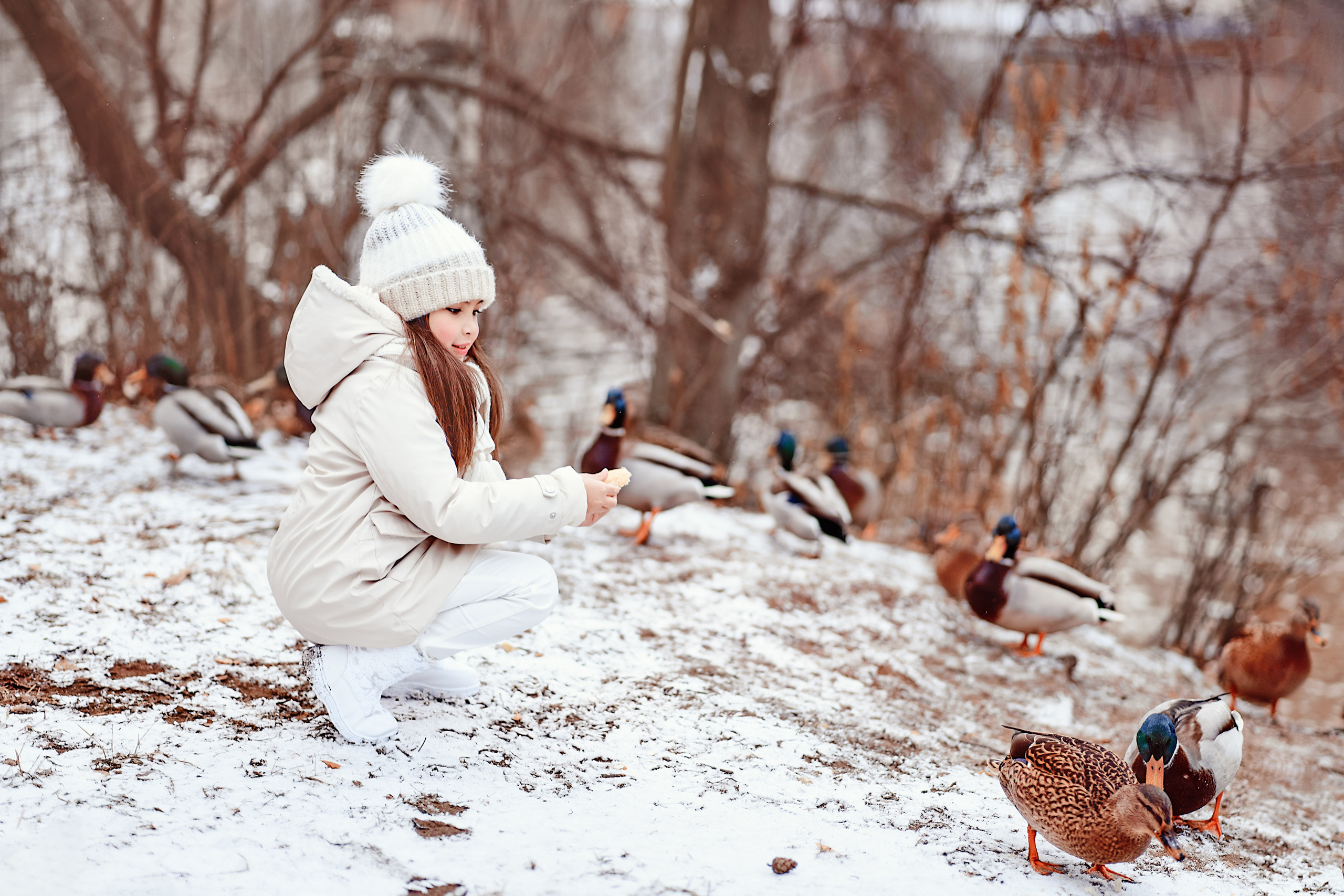 Девочка сидит на корточках и кормит уток в зимнем парке.