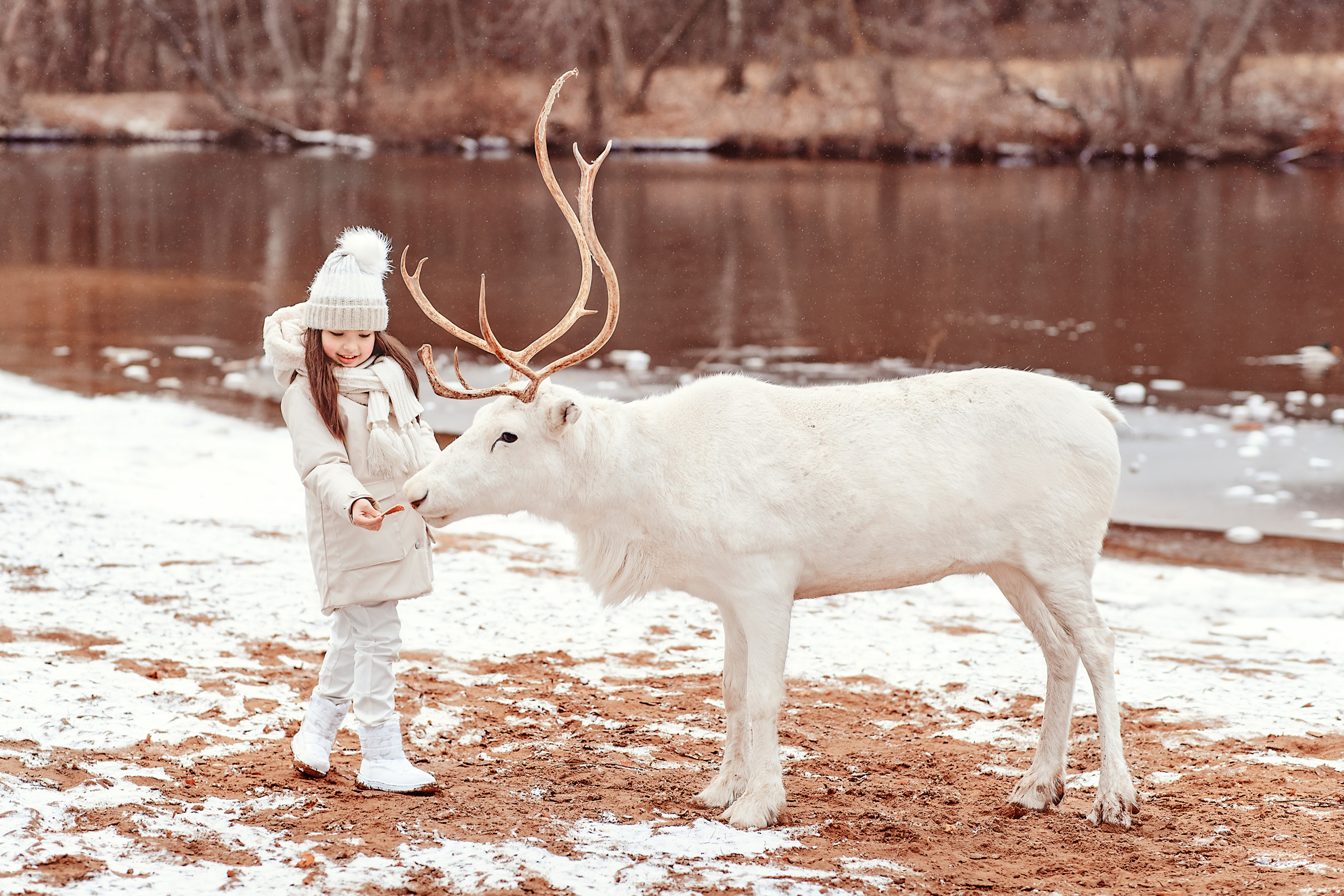 Девочка кормит белого оленя на фоне зимнего пейзажа.