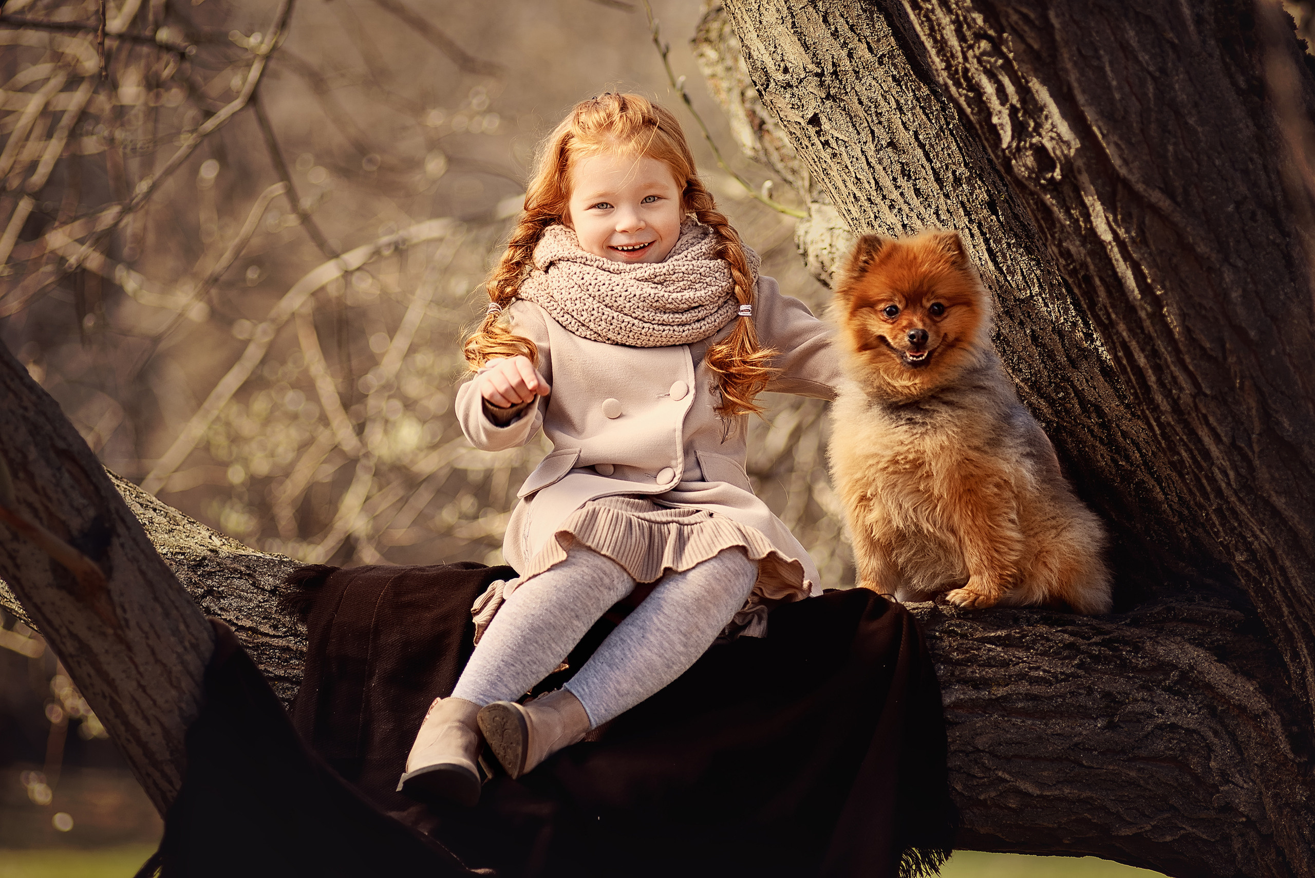 Рыжеволосая девочка и её собака сидят на дереве.
