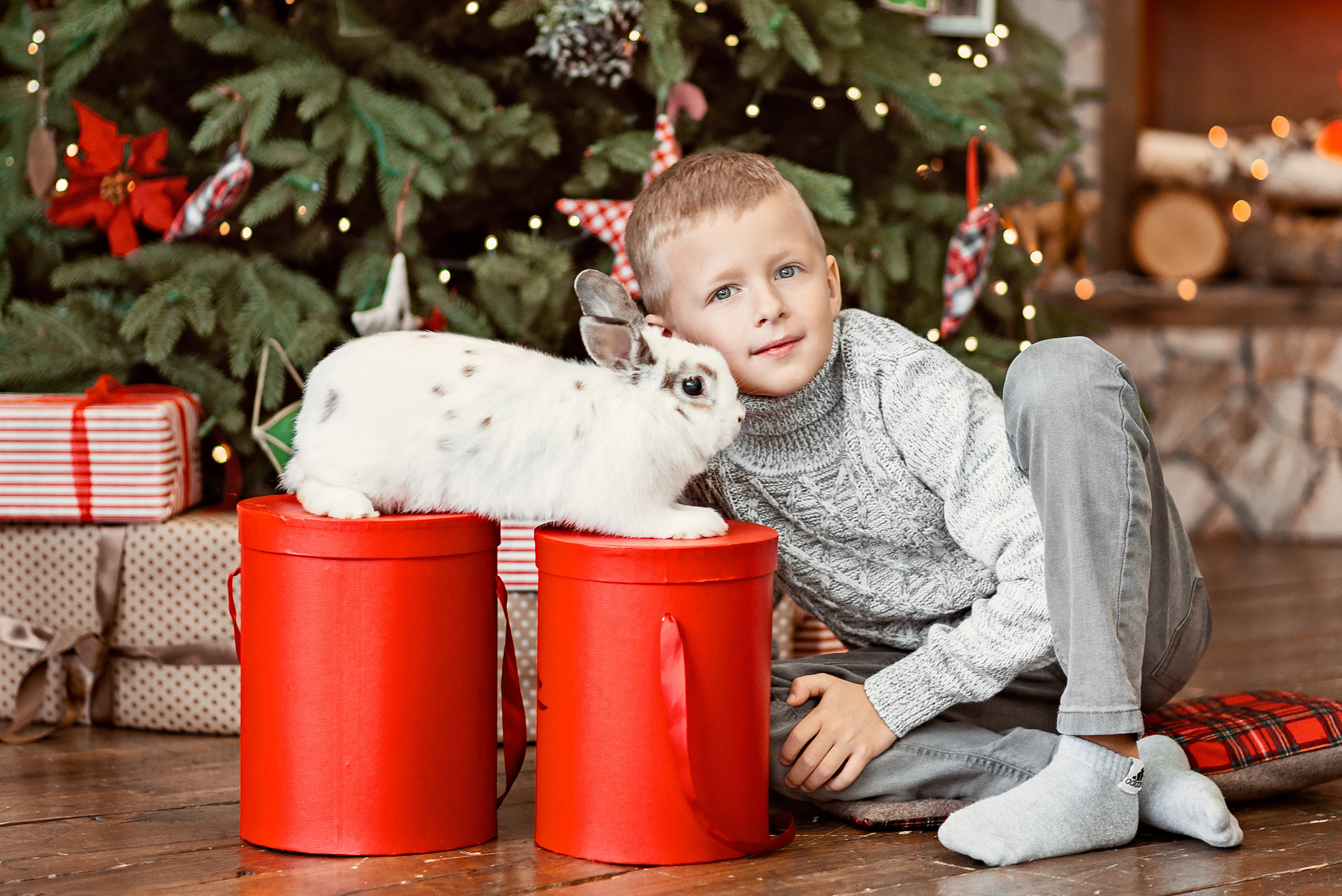 Мальчик возле новогодней ёлки в белым кроликом.