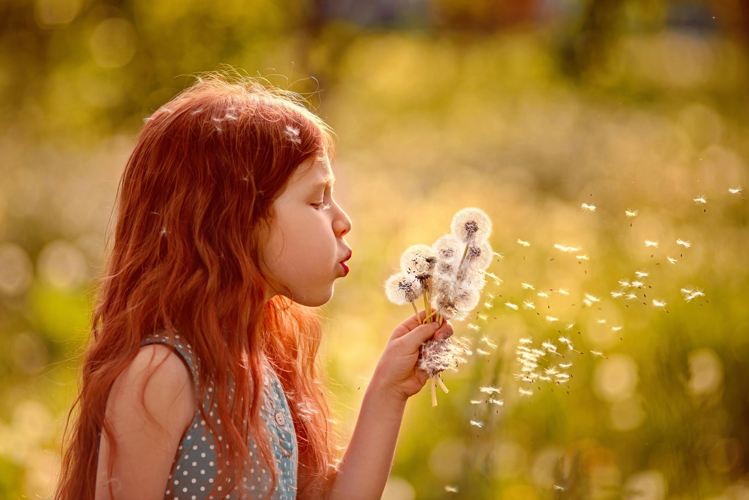 Рыжая девочка дует на букет одуванчиков.