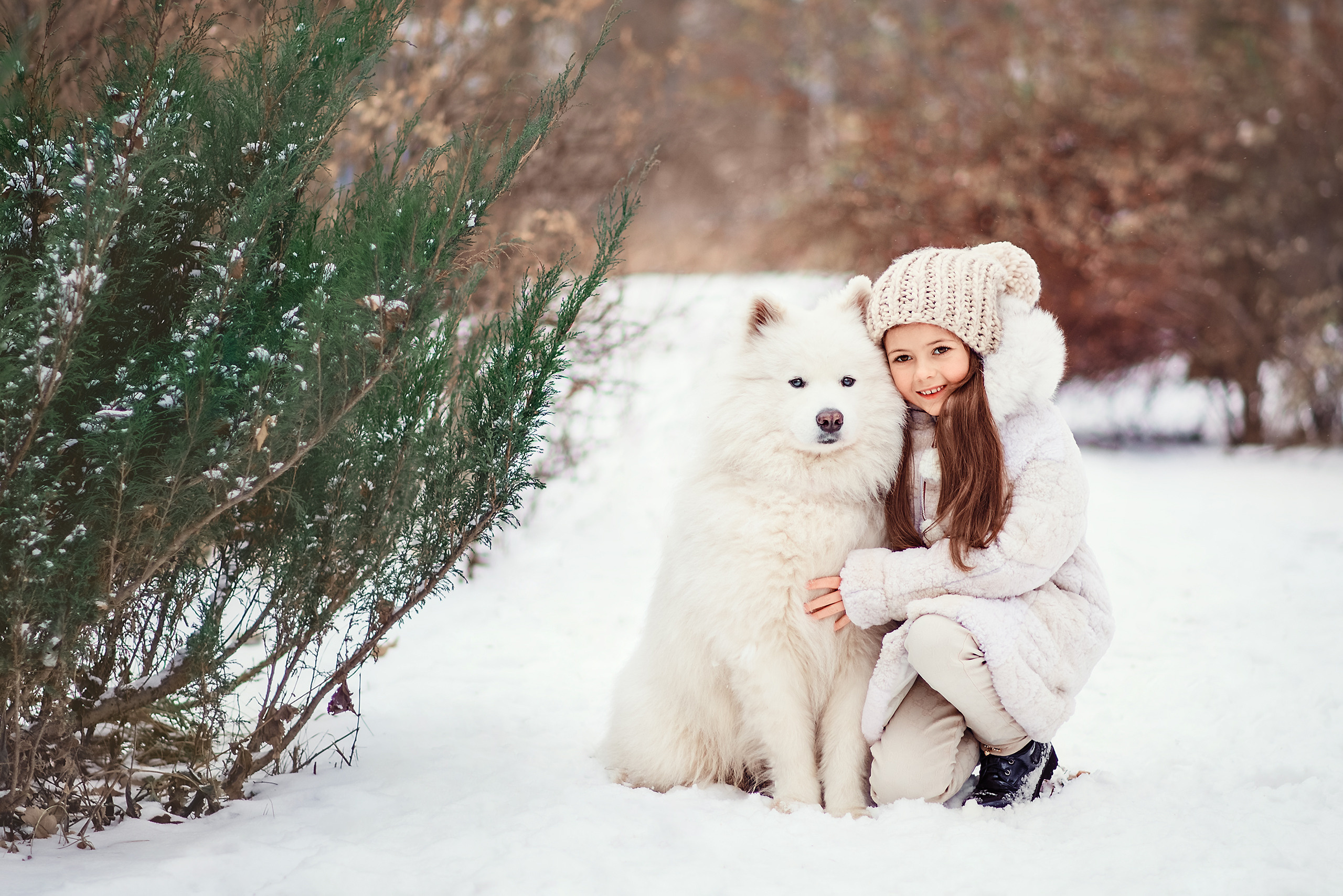 Девочка обнимает самоеда в зимнем парке.