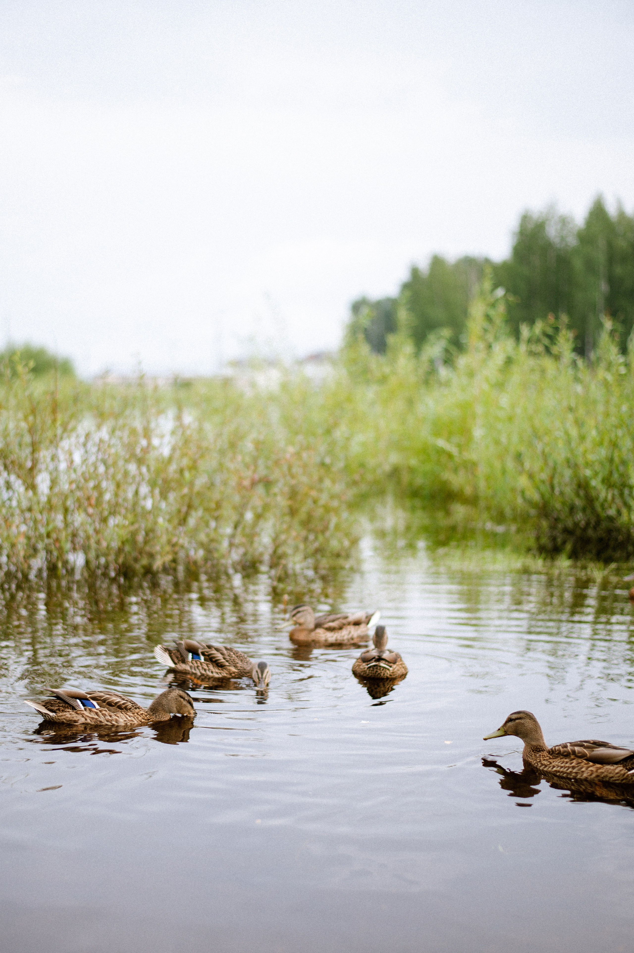 Волчанск. Фотограф Санкт-Петербург | Дарья Першина