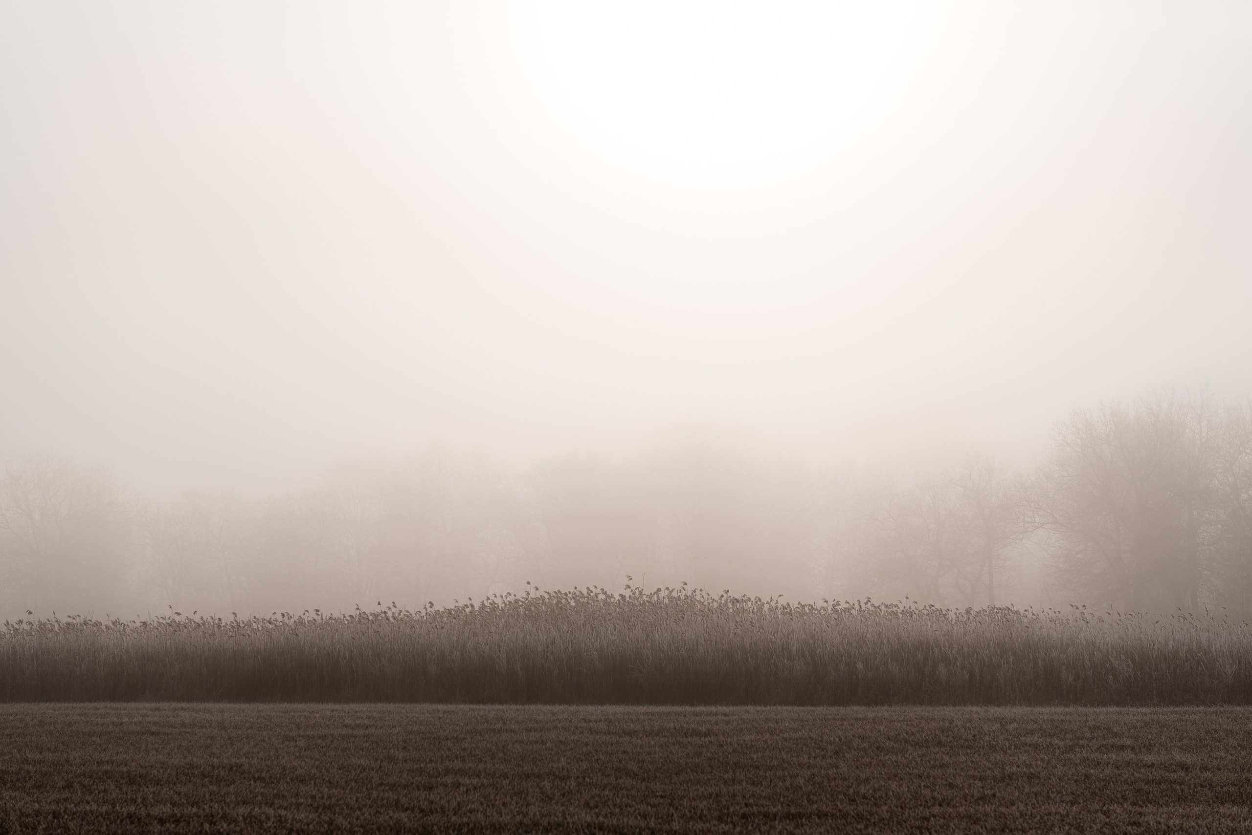 Фотографии утреннего тумана под Волжским. Фотограф в Волгограде и Волжском Александр Горбань