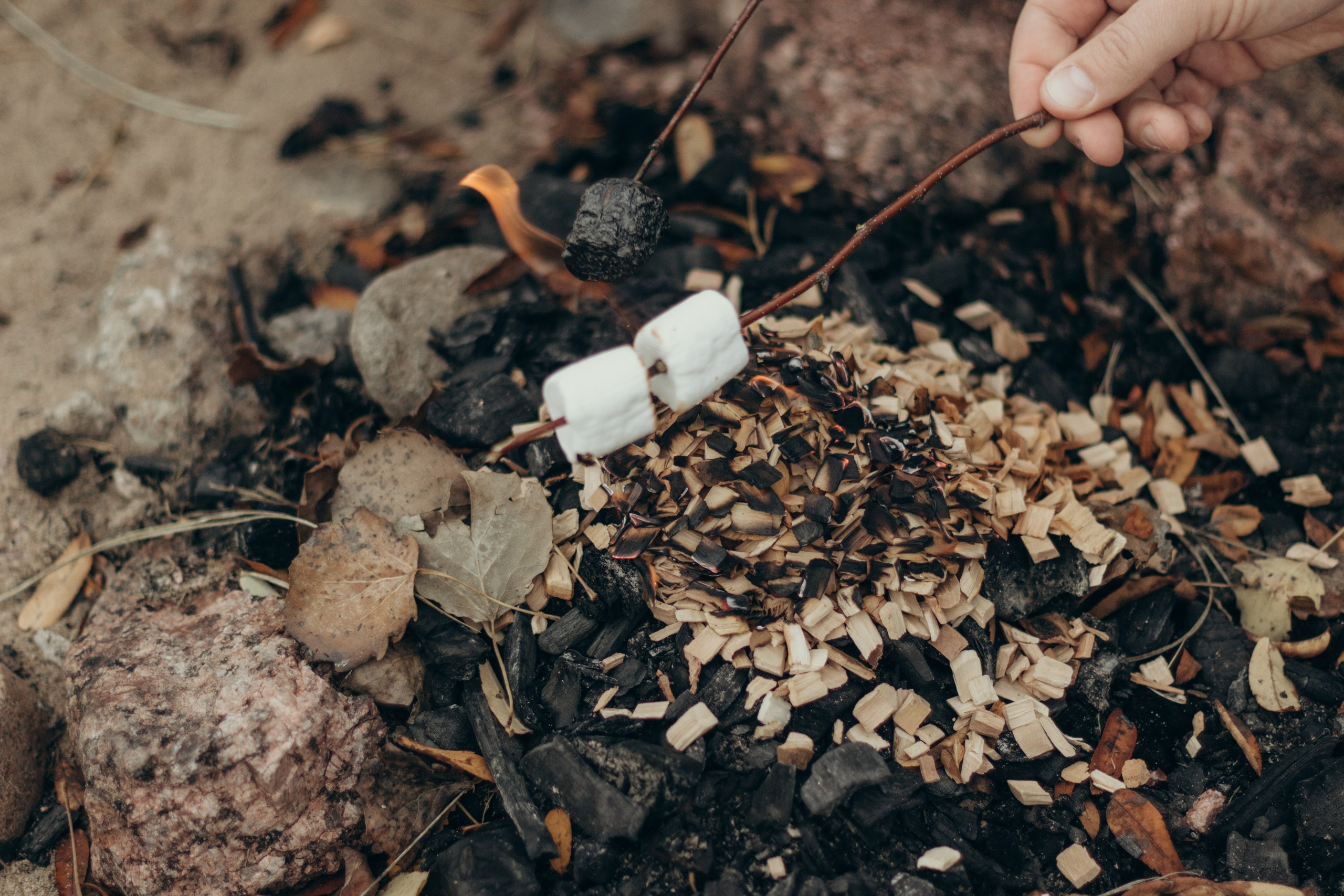 На краю света. Семейный и детский фотограф в Санкт-Петербурге — Лаврова Ольга