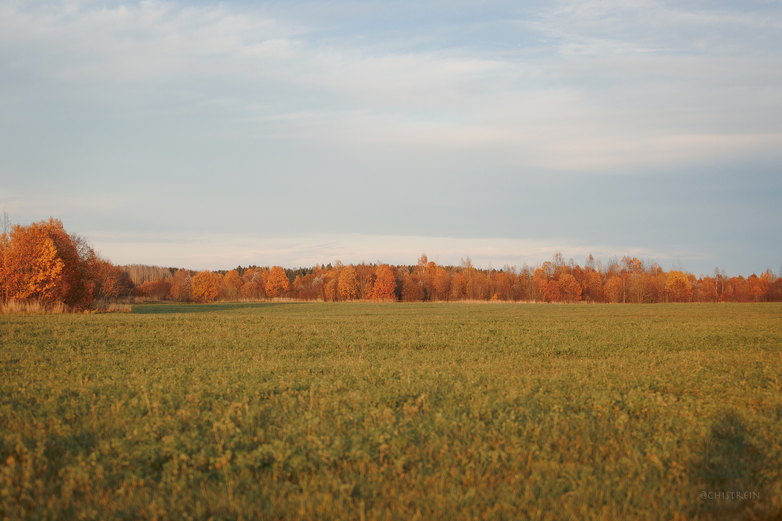 Октябрьский закат в полях. Алина и Лео. Фотограф-анималист Наталия Чистюхина в г. Сосновый Бор и ЛО