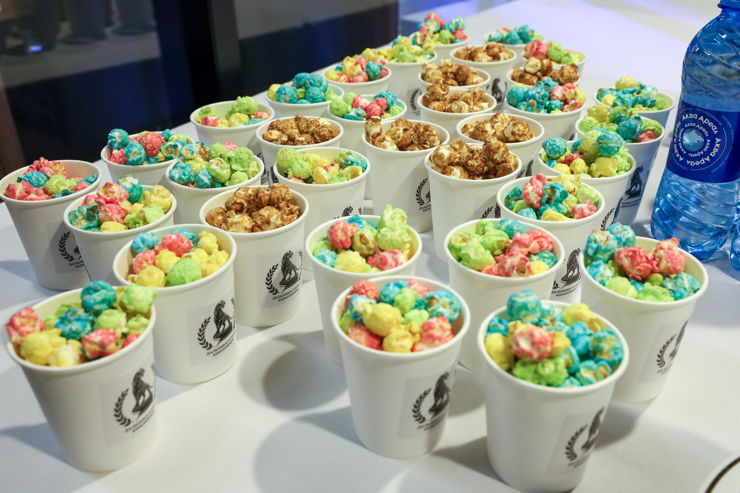 ДАЛЬНЕВОСТОЧНАЯ КИНОПРЕМИЯ 2024. Фотограф мероприятий Ирина Каширина