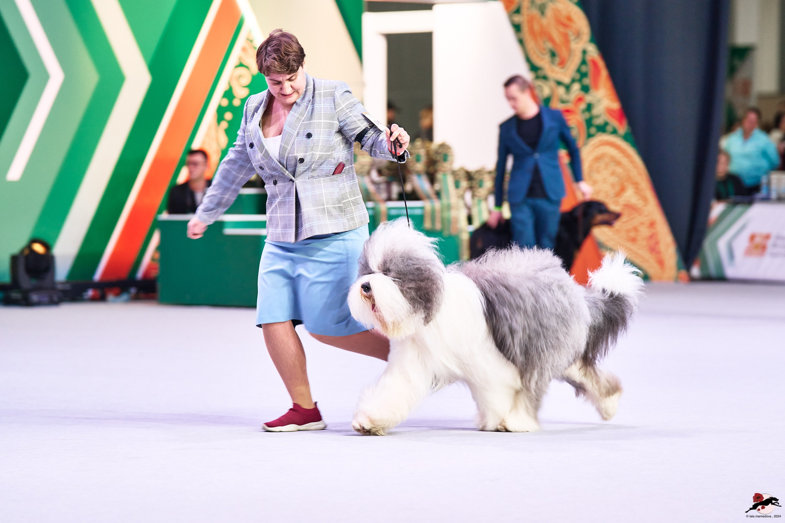 16.11.2024 «ЕВРАЗИЯ. КУБОК ПРЕЗИДЕНТА РКФ 2024»