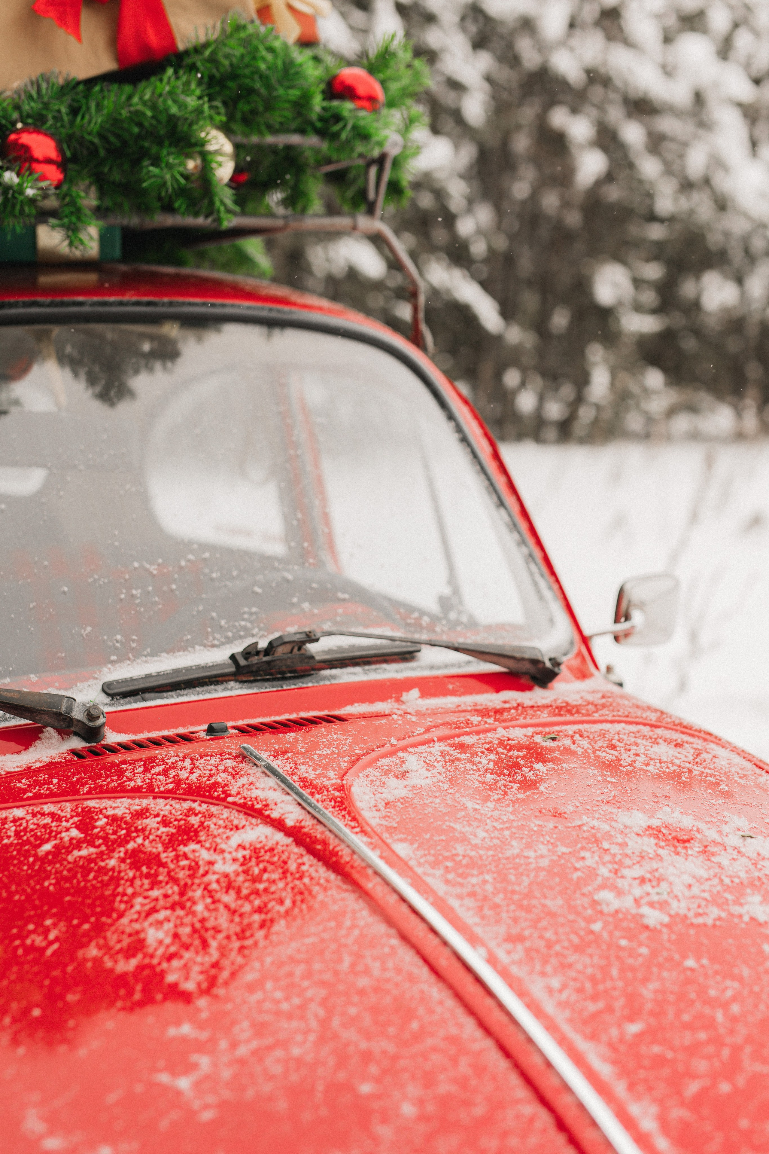 Семья Екатерины. Фотограф Анастасия Петрова