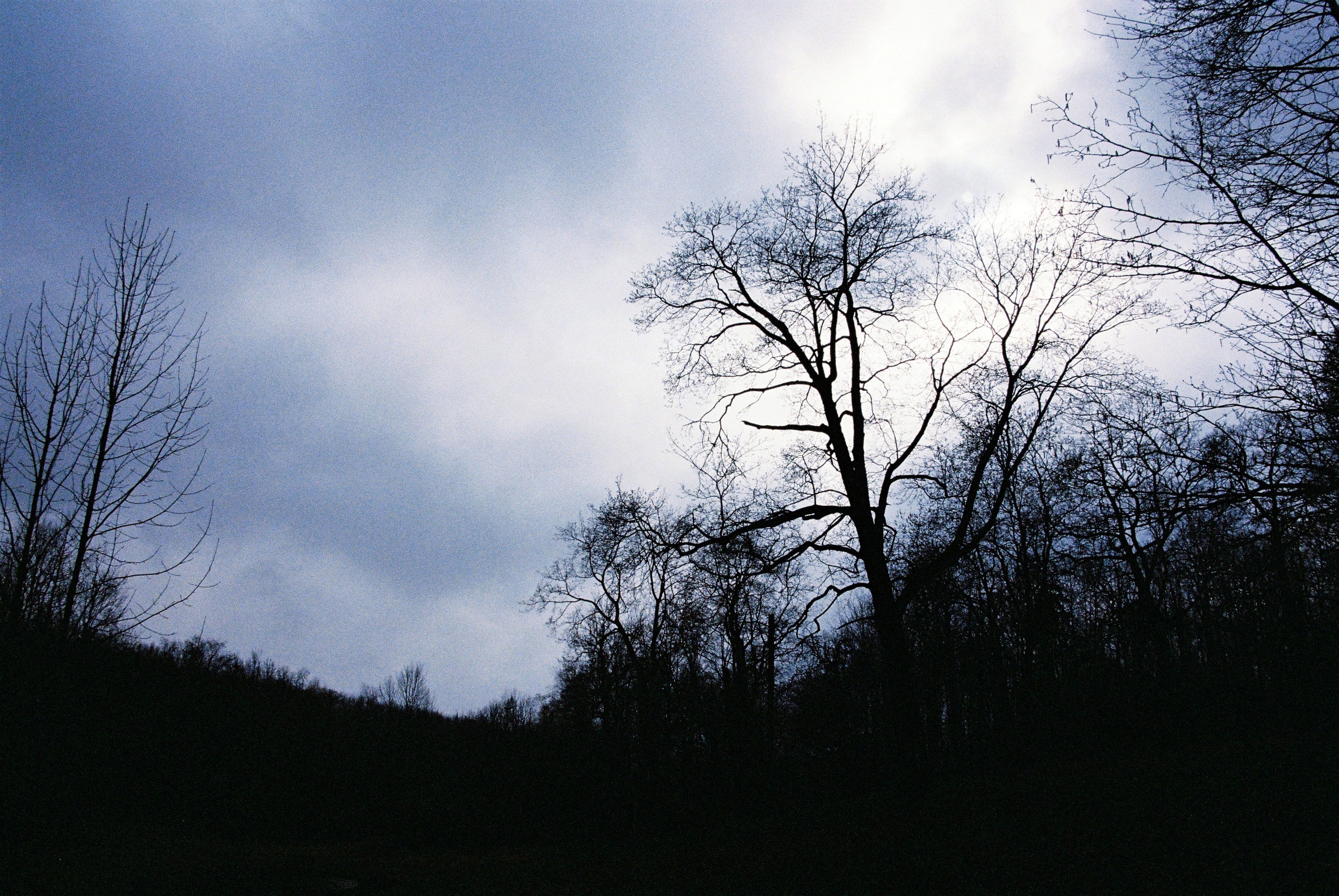 Film. Ruslan UI Dev Page