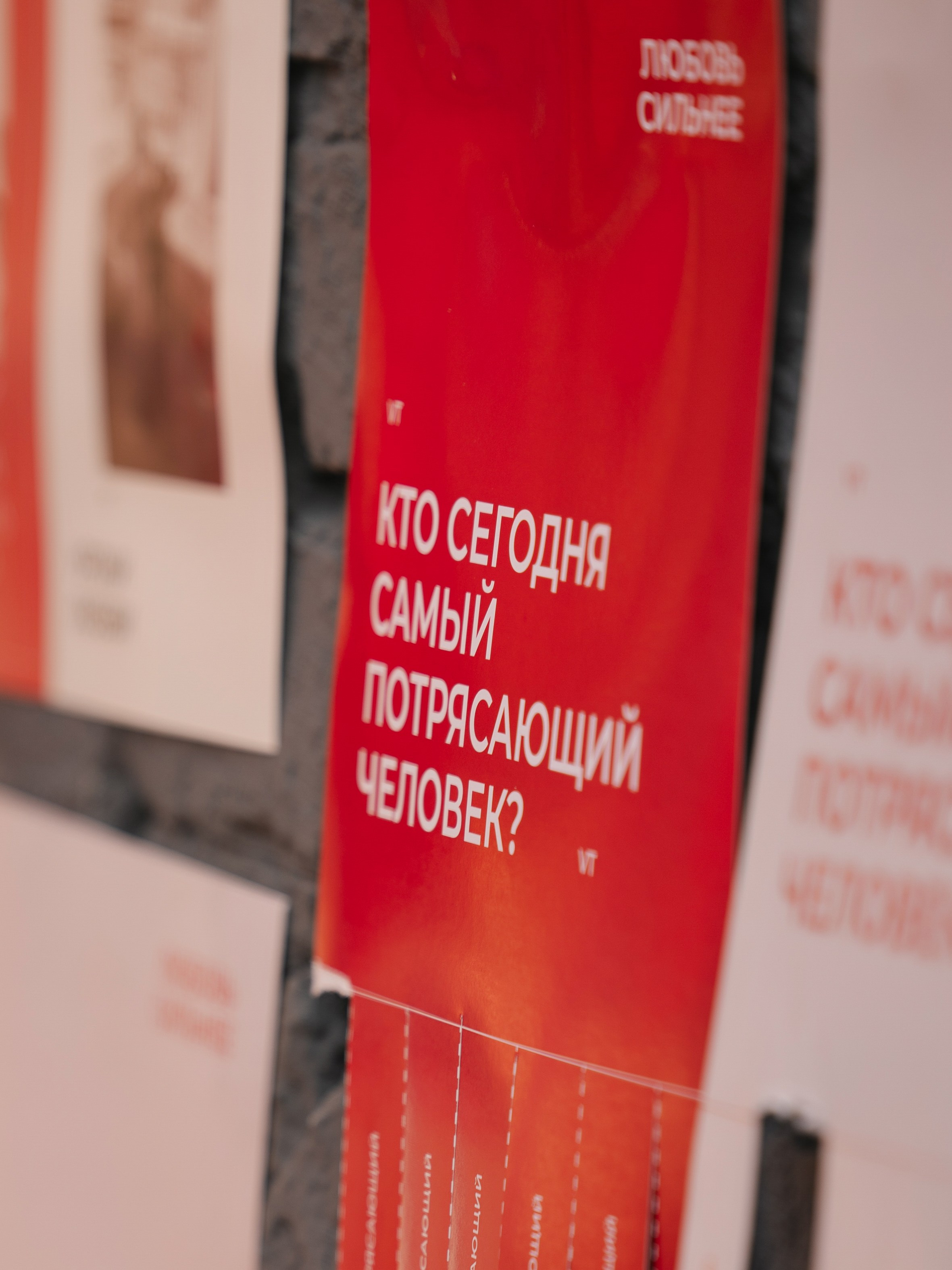 МЫ ВЫИГРАЛИ ЭТУ ЖИЗНЬ!