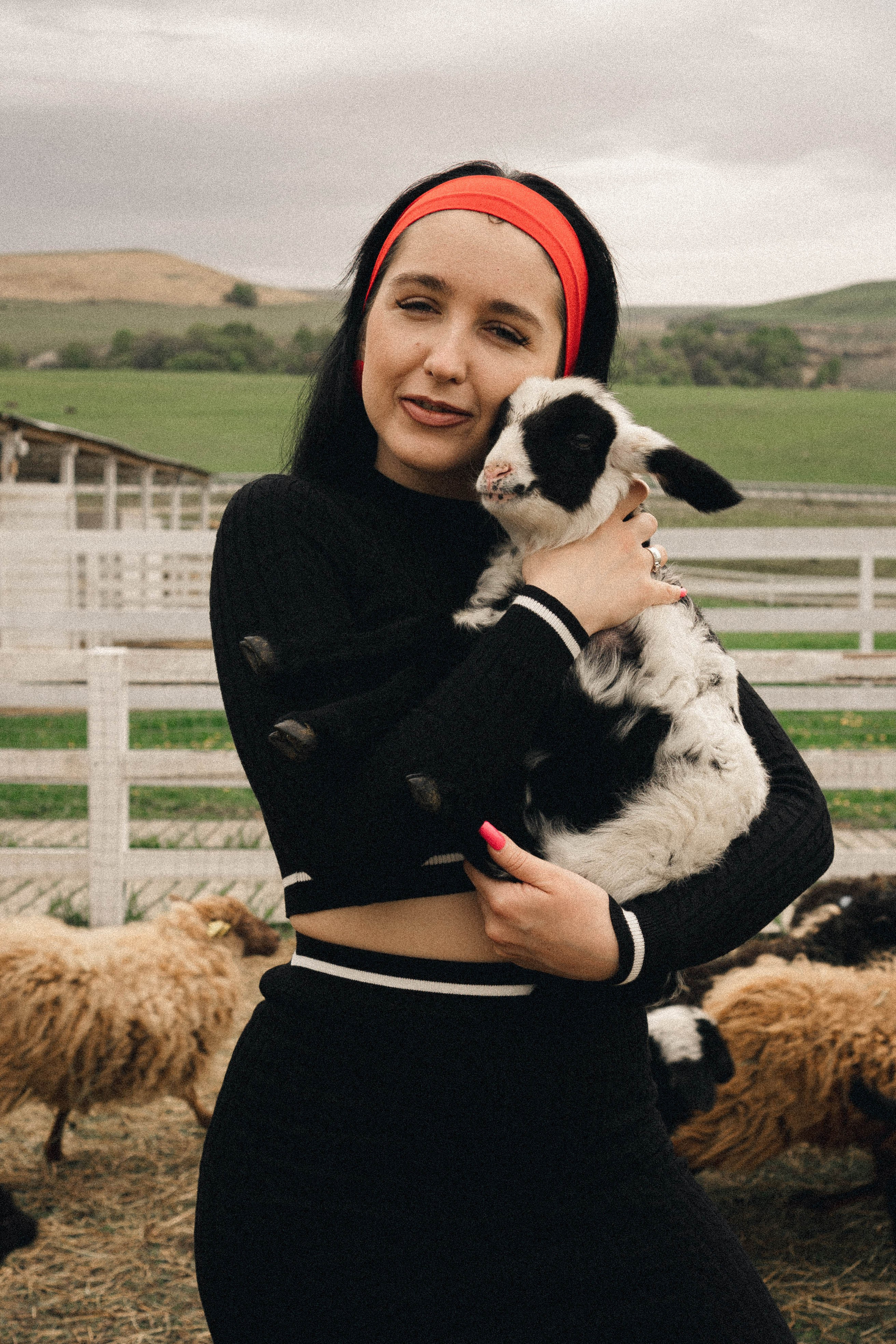 Ферма Альпак. Профессиональный фотограф, Санкт-Петербург — Виктория Богомолова