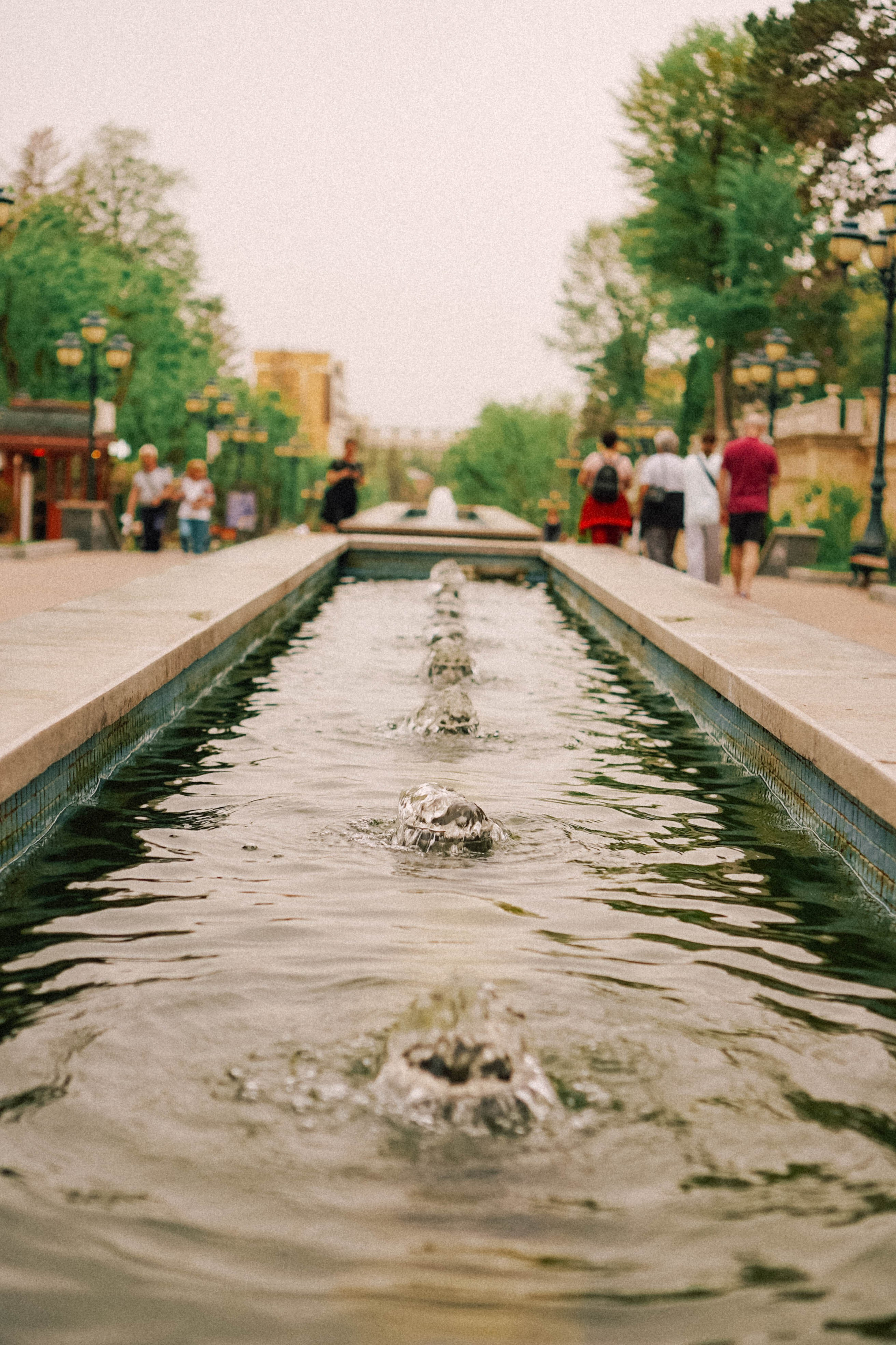 КИСЛОВОДСК. Профессиональный фотограф, Санкт-Петербург — Виктория Богомолова