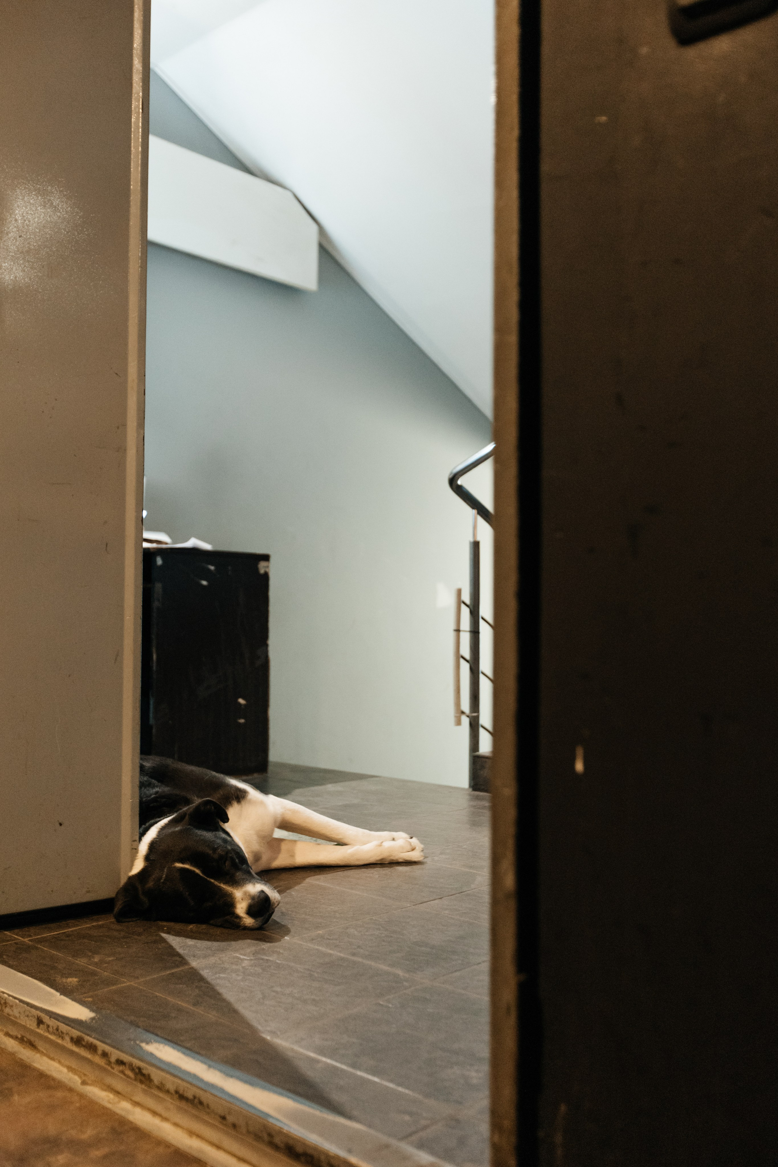 SOROKIN TEAM MK. Свадебный и Репортажный фотограф Нижний Новгород Москва Ежов Иван