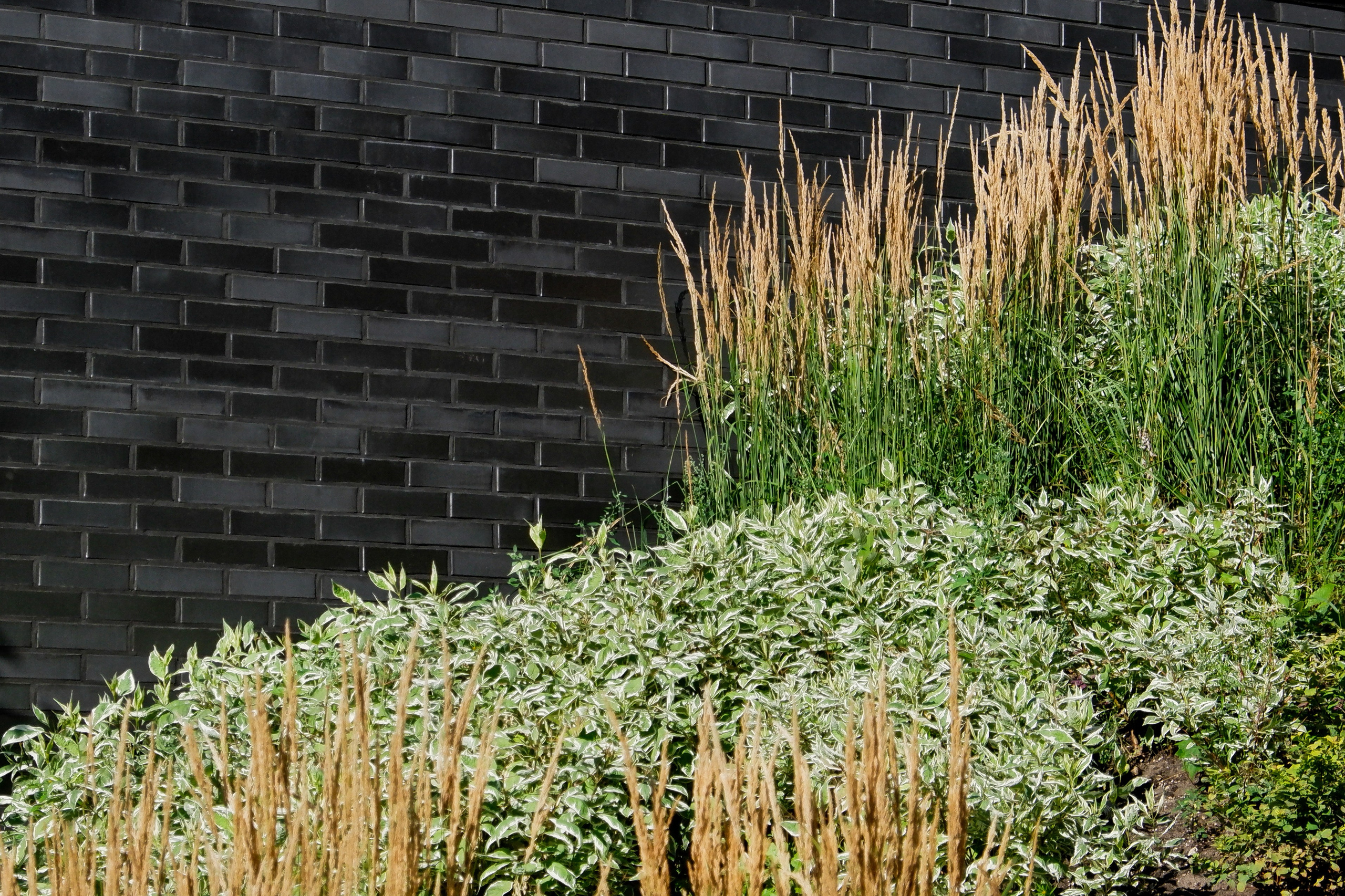 Жилой комплекс «Голландия». Михаил Мулач | Архитектурный фотограф