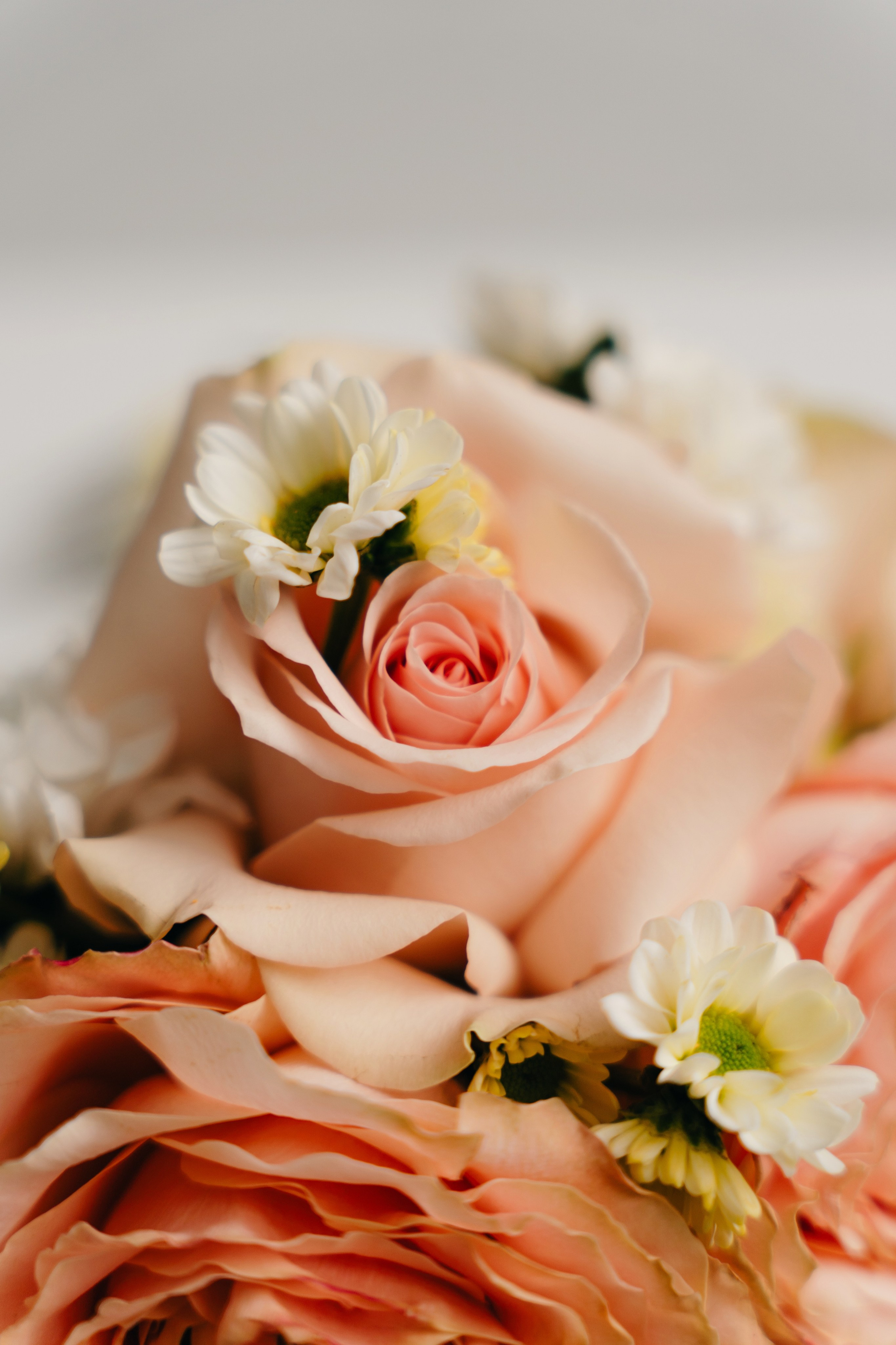 Мария. Истории