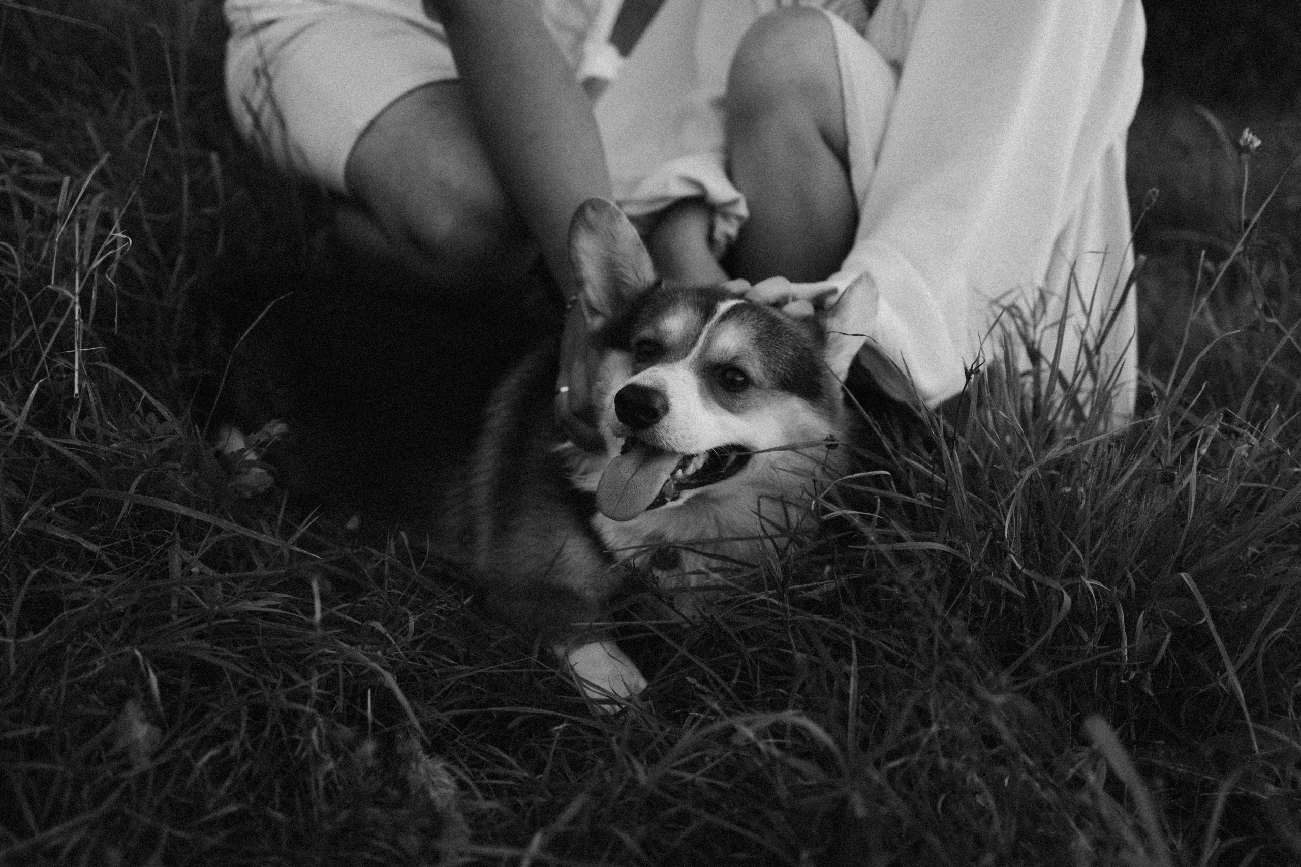 Настя и Кирилл. Фотограф в Туле и Алексине Стулова Мария