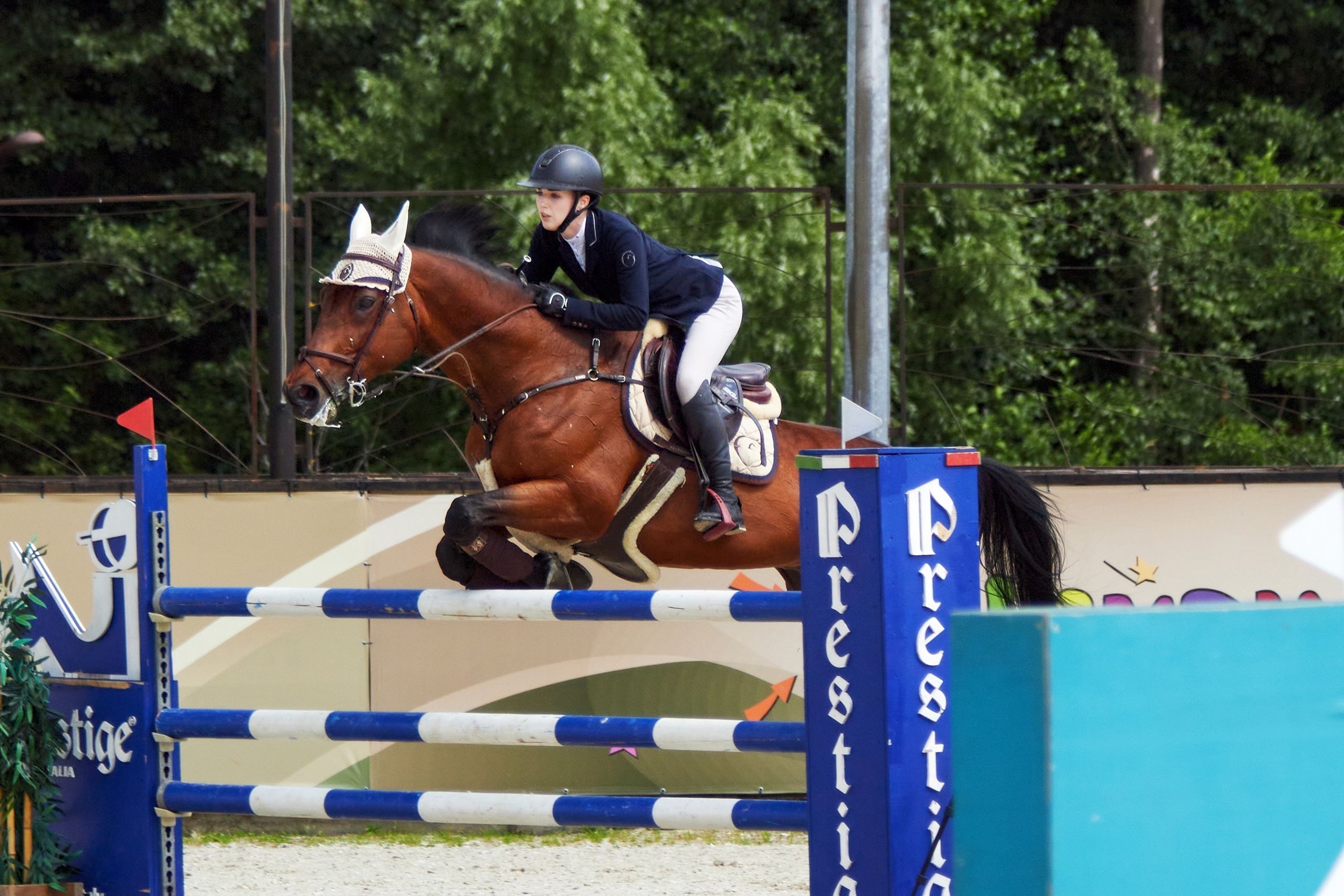 Конкур в «Виват, Россия». Фотограф анималист — Тула, Москва