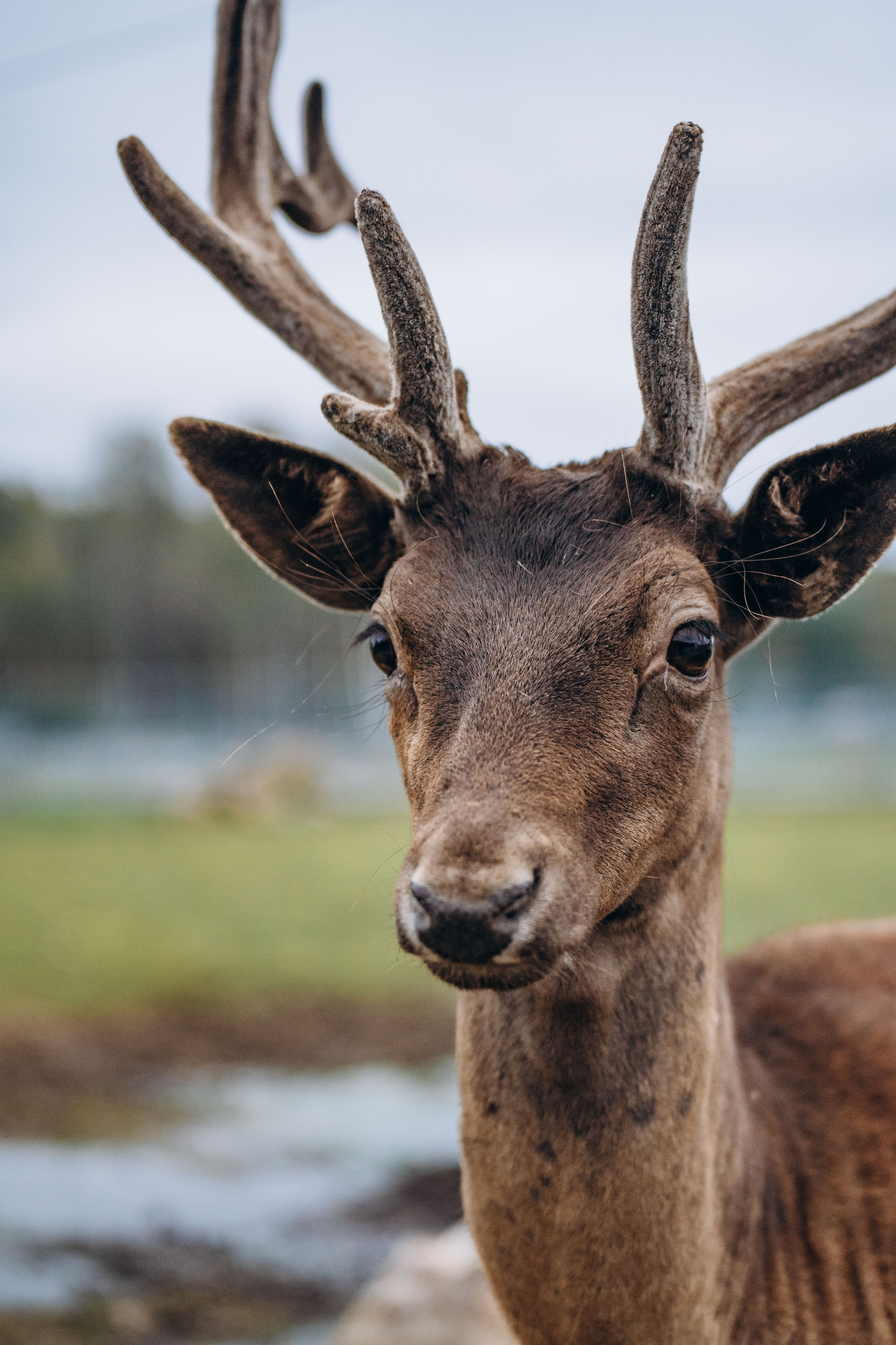 СЕВЕР. Event фотограф Степанова Александра