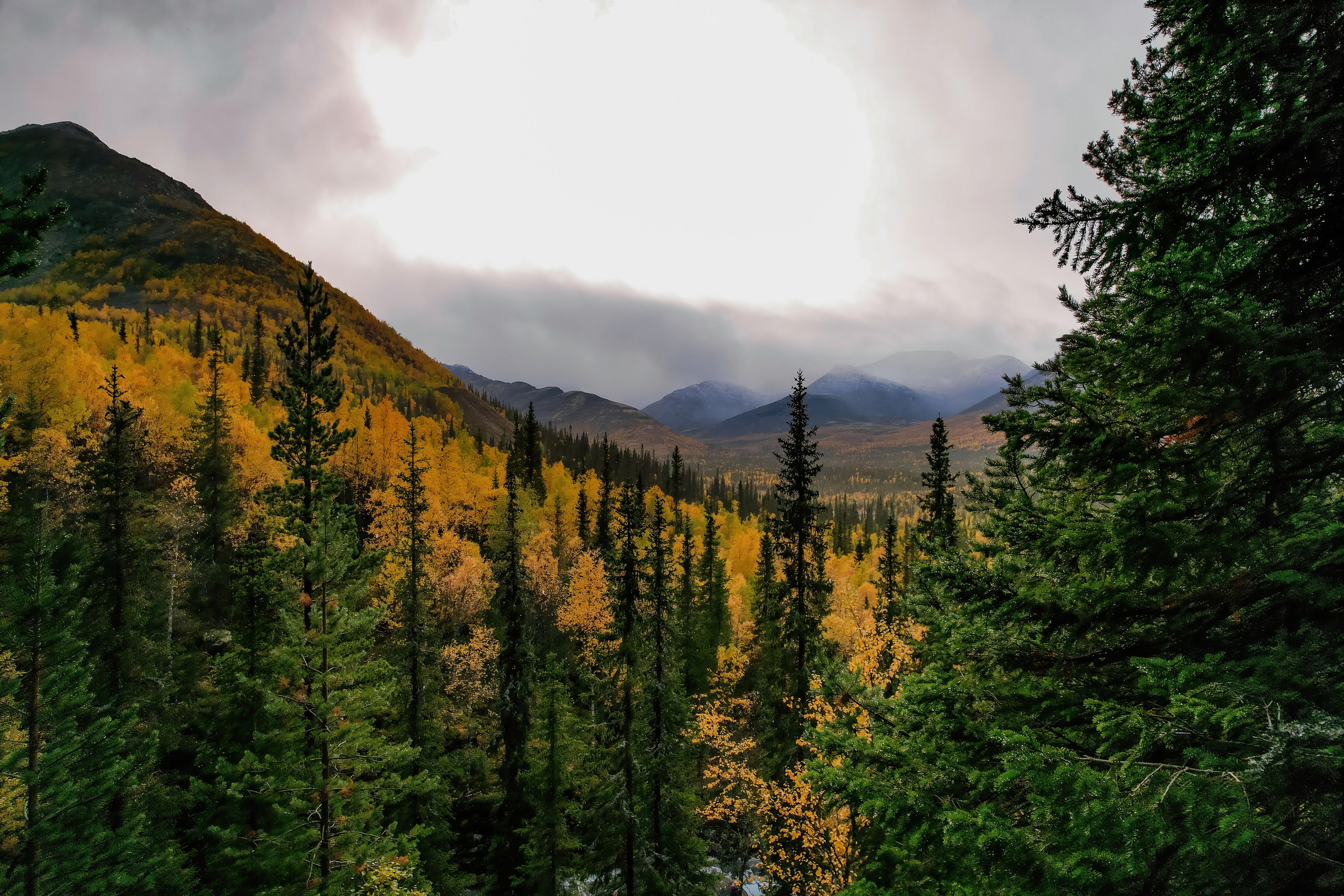 СЕВЕР. Event фотограф Степанова Александра