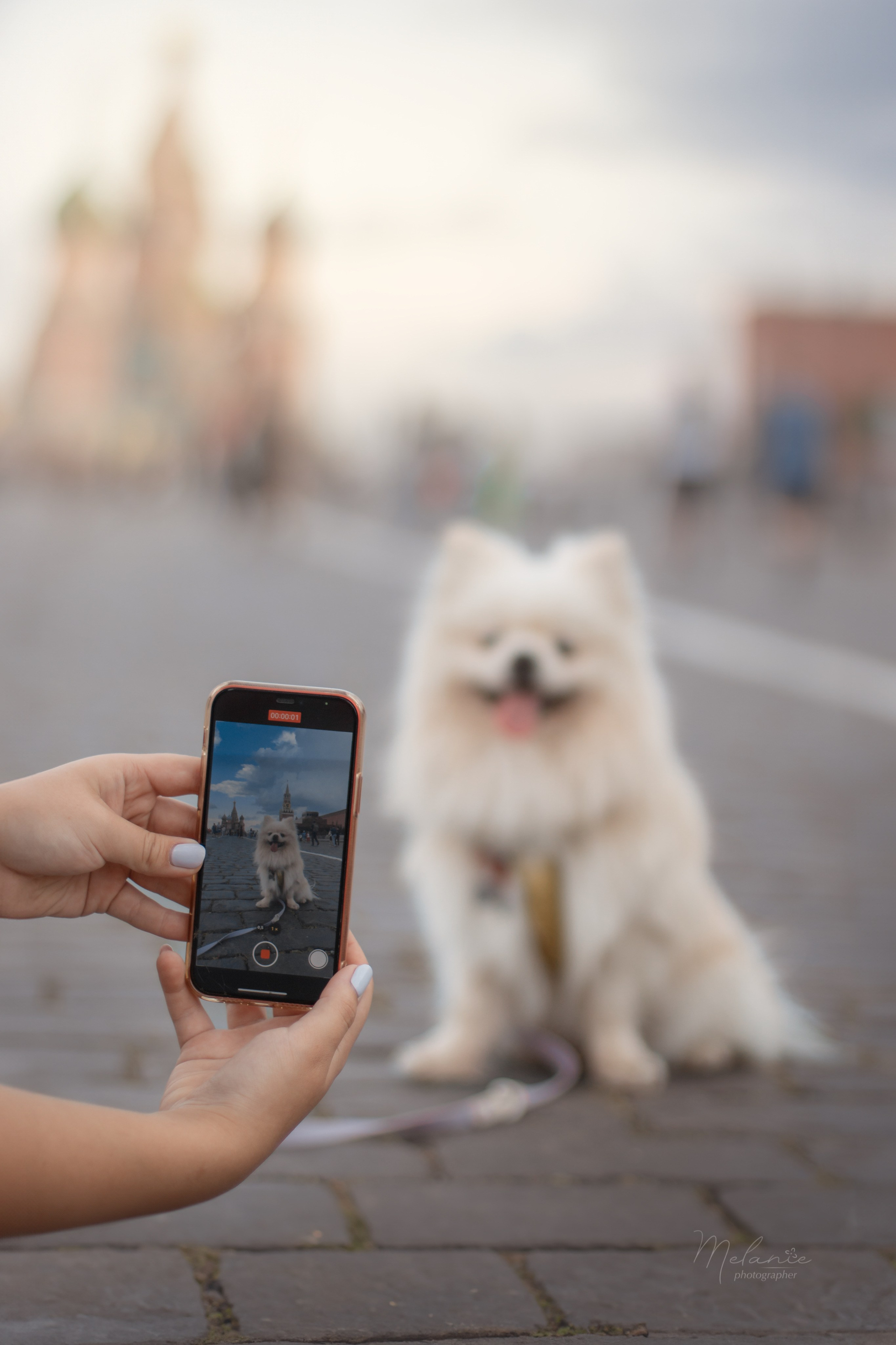 Съемки питомца. Фотограф-анималист в Москве Дорн Мелани