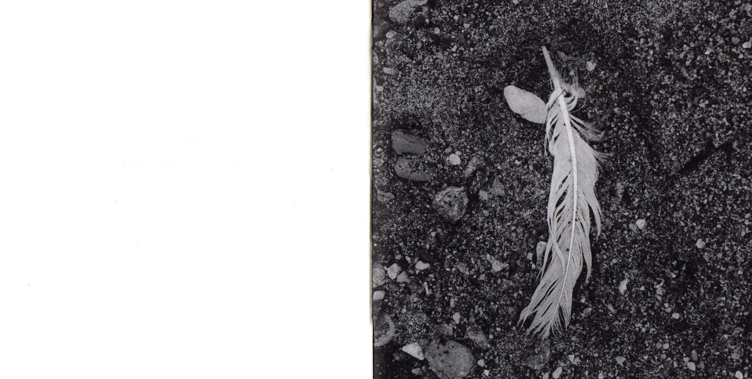 Деревья, которые дают сил. Фотограф Анна Кирнос