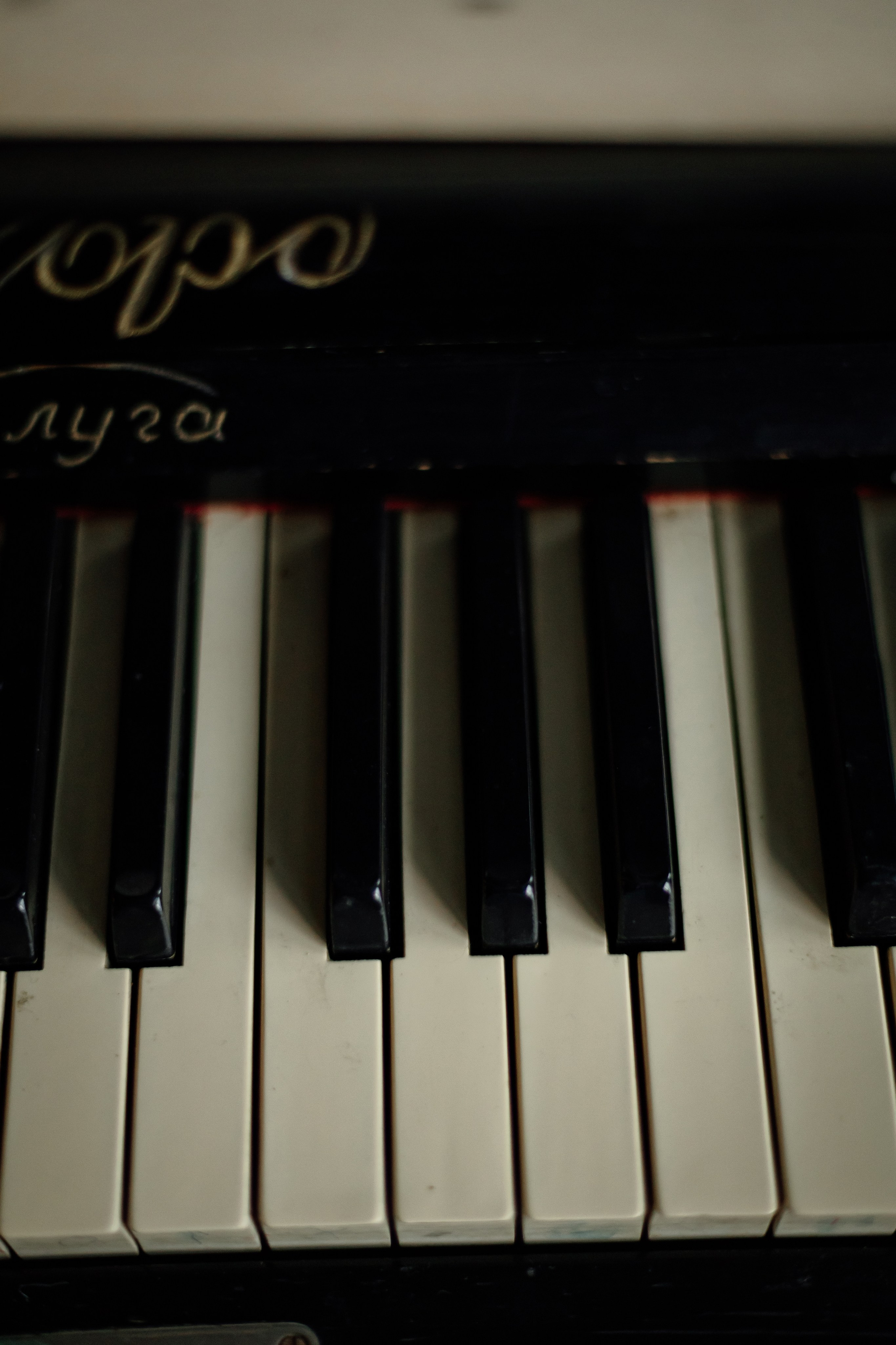 Новогодняя женская. Фотограф Калуга