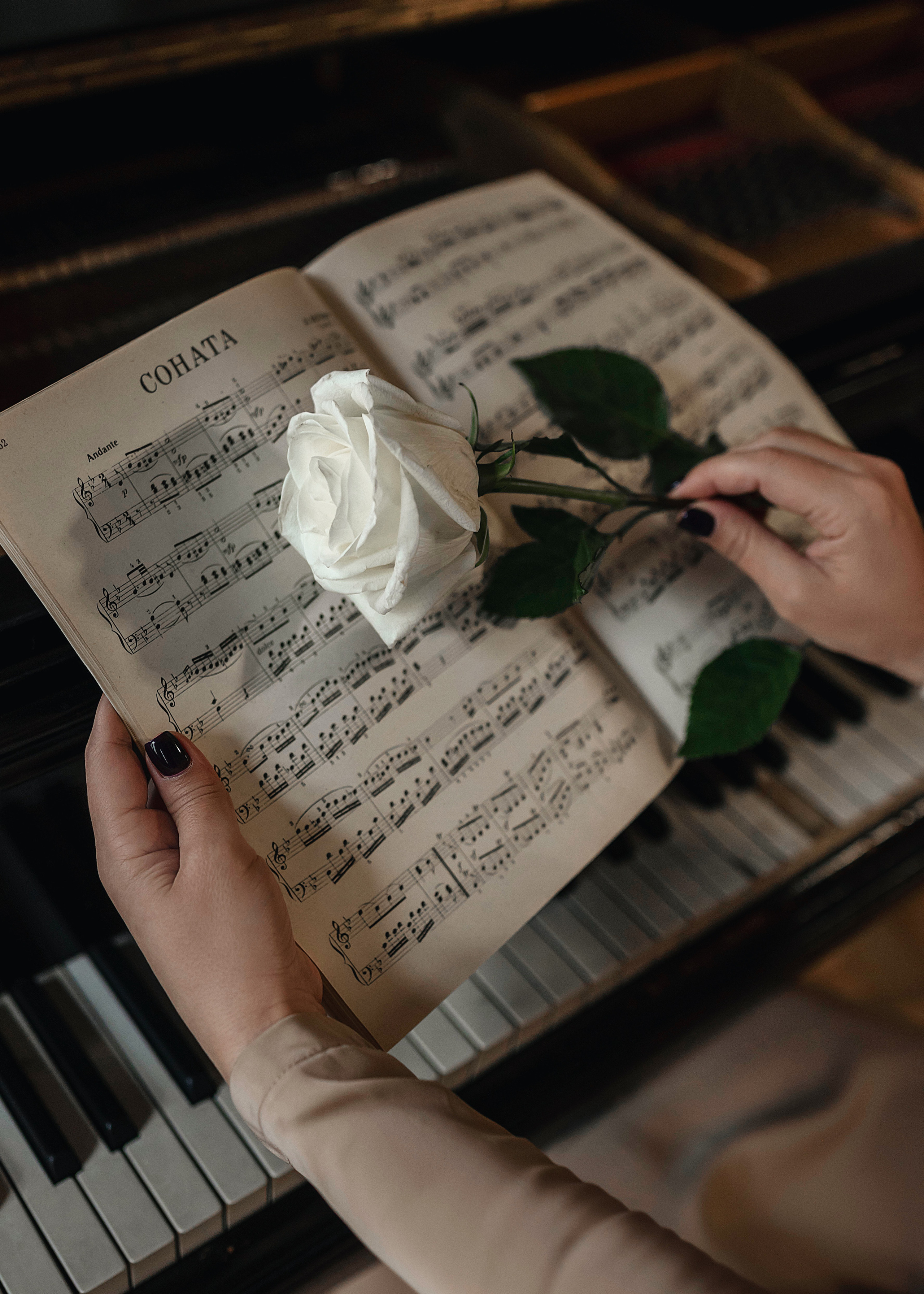 Валентина. Фотограф в Москве