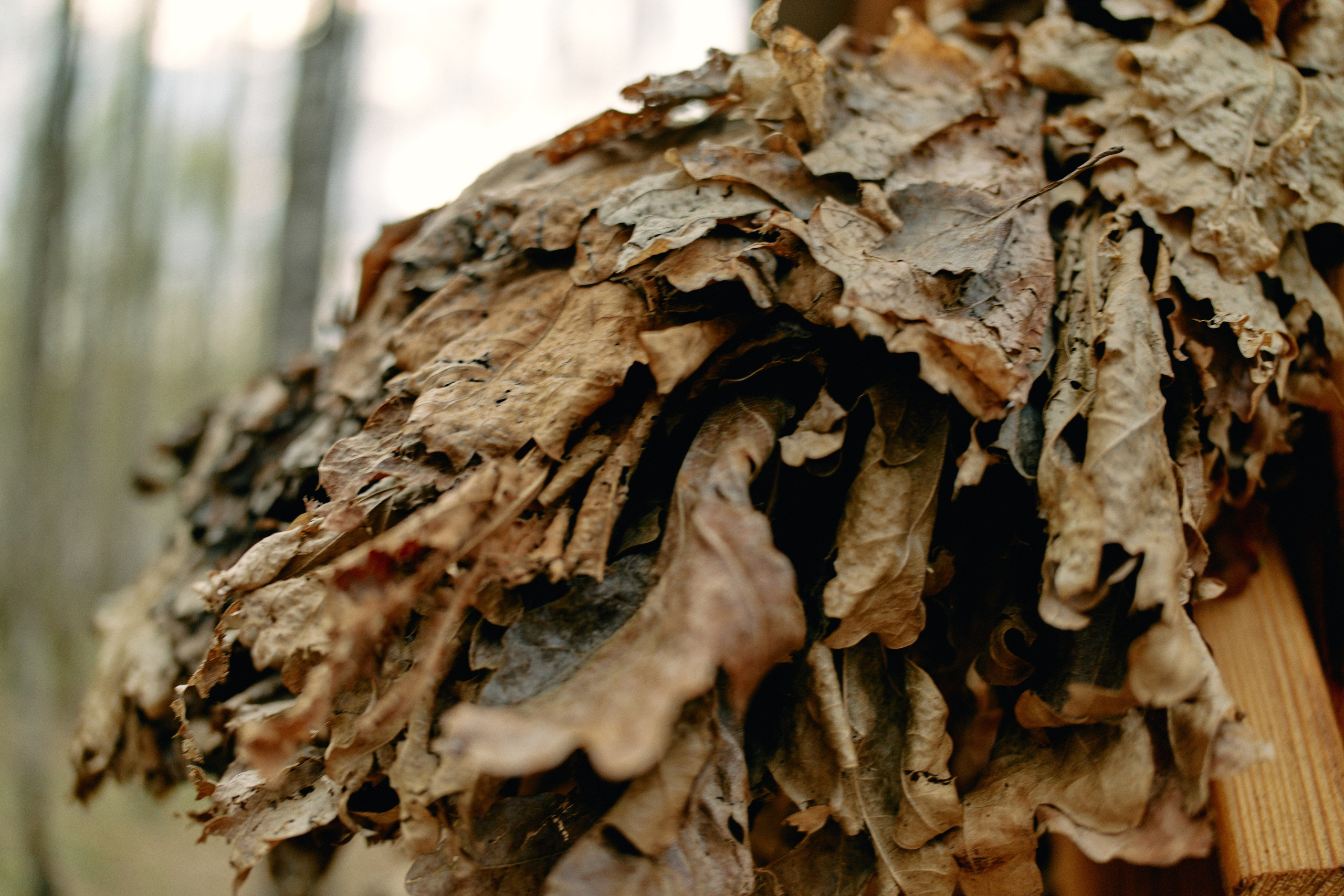 Бутик-отель Поле летом. Профессиональный Фотограф во Владимире, в Москве и в Суздале — Полина Романычева