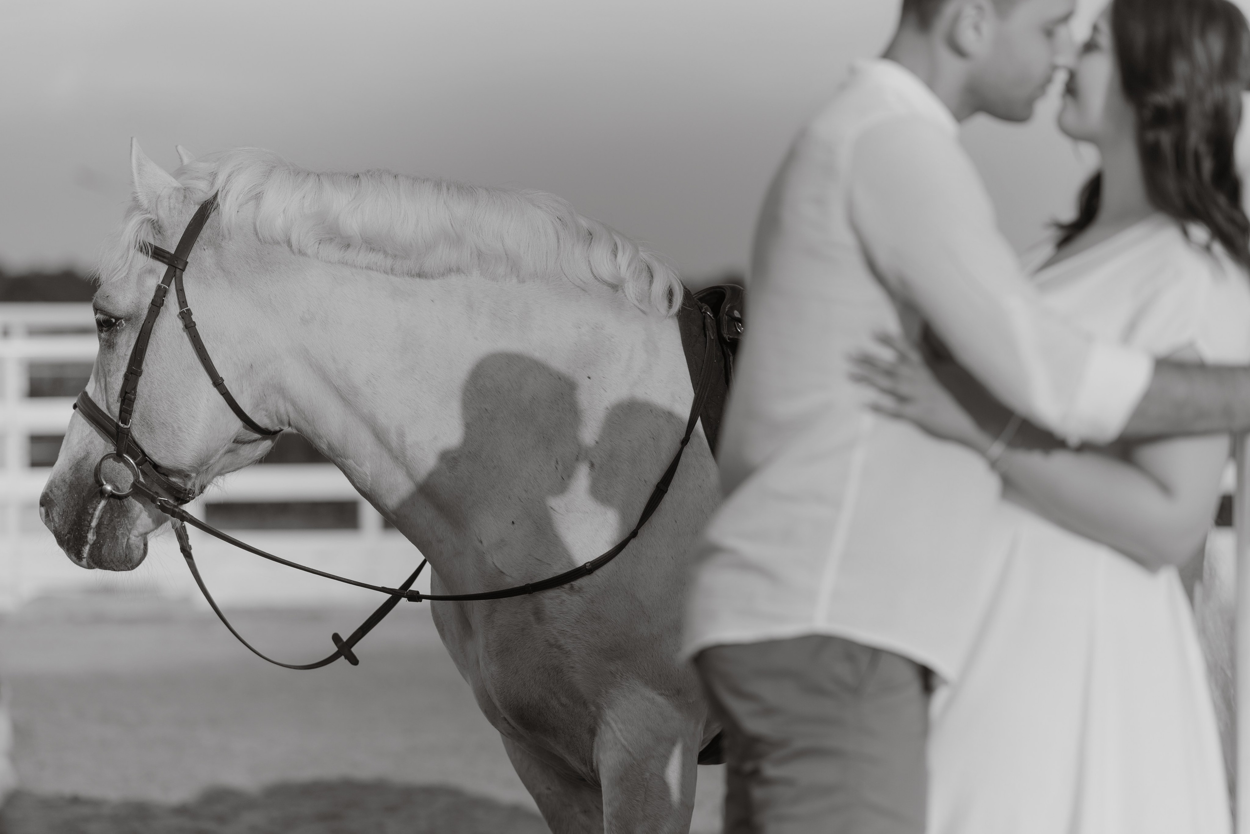 Вова, Кристина и Полина. Свадебный фотограф и видеограф