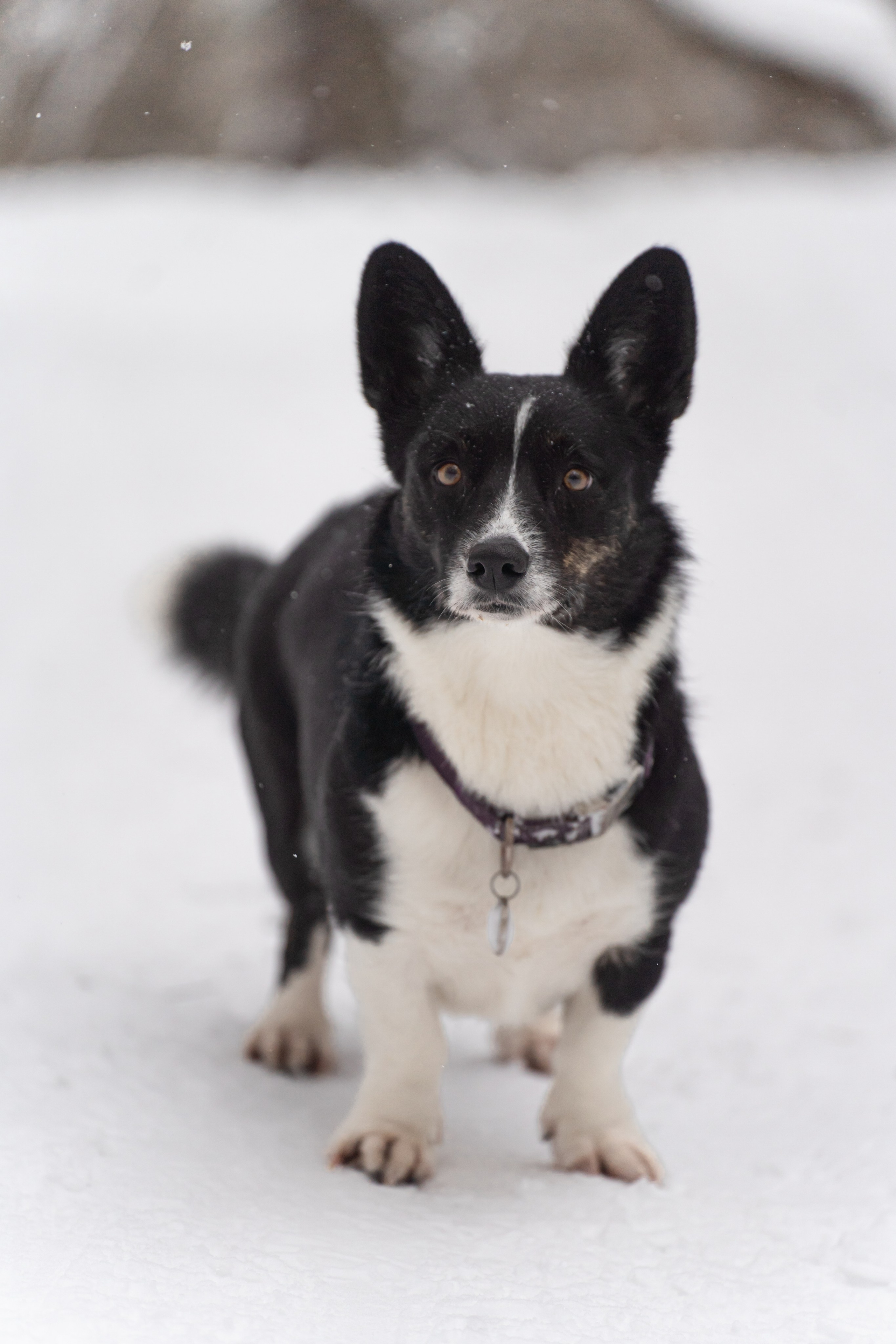 Наташа и Ама. Фотограф в Москве Ленарская Дарья