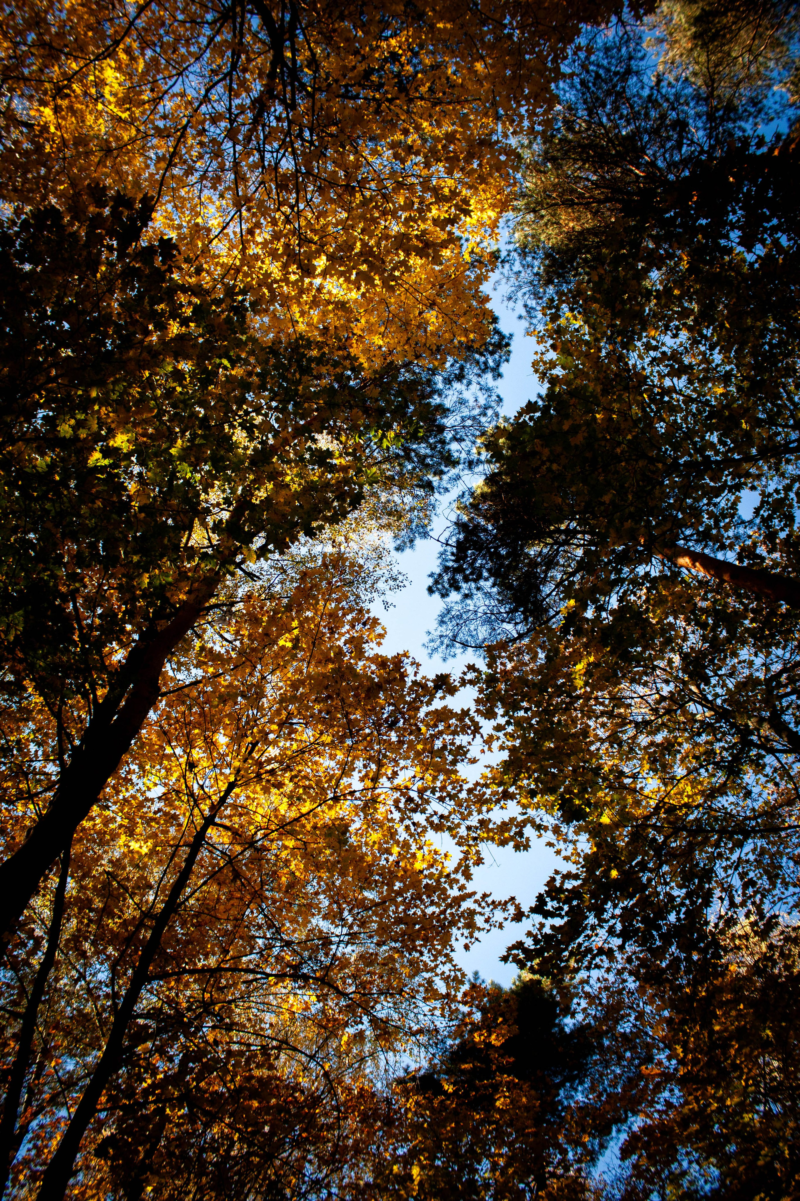 Природа, зверушки. Фотограф и кожевник Кирилл Удалов
