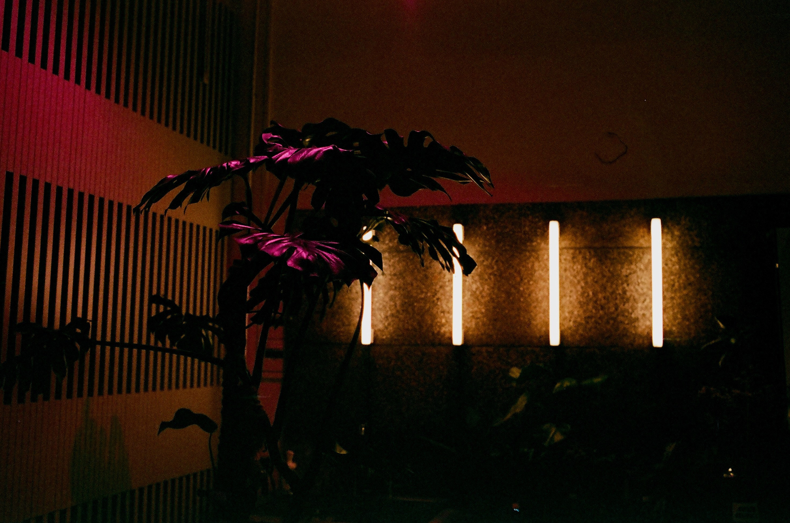 Film. Ruslan UI Dev Page