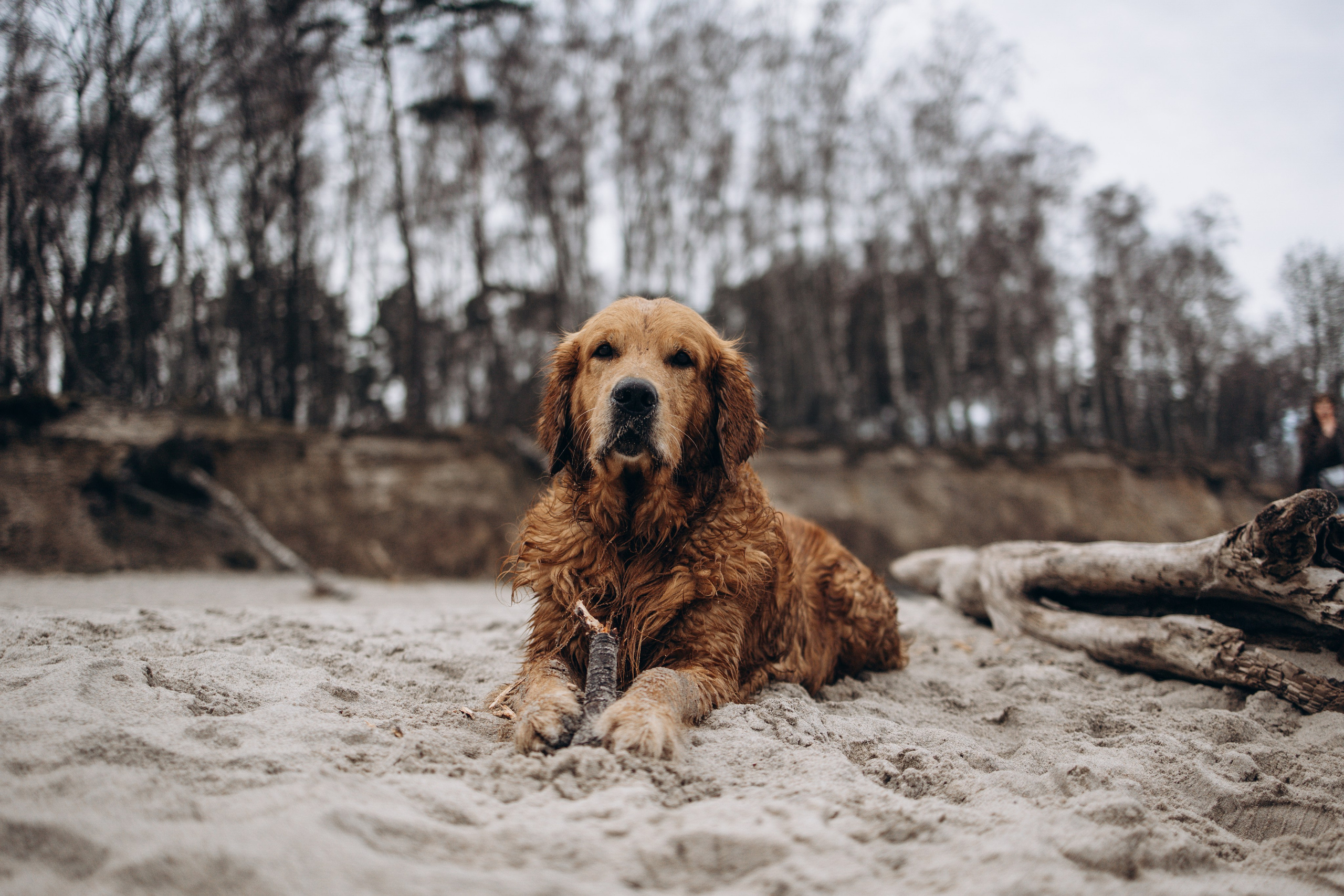 Юля и Максик. Фотограф — Анималист | Санкт-Петербург