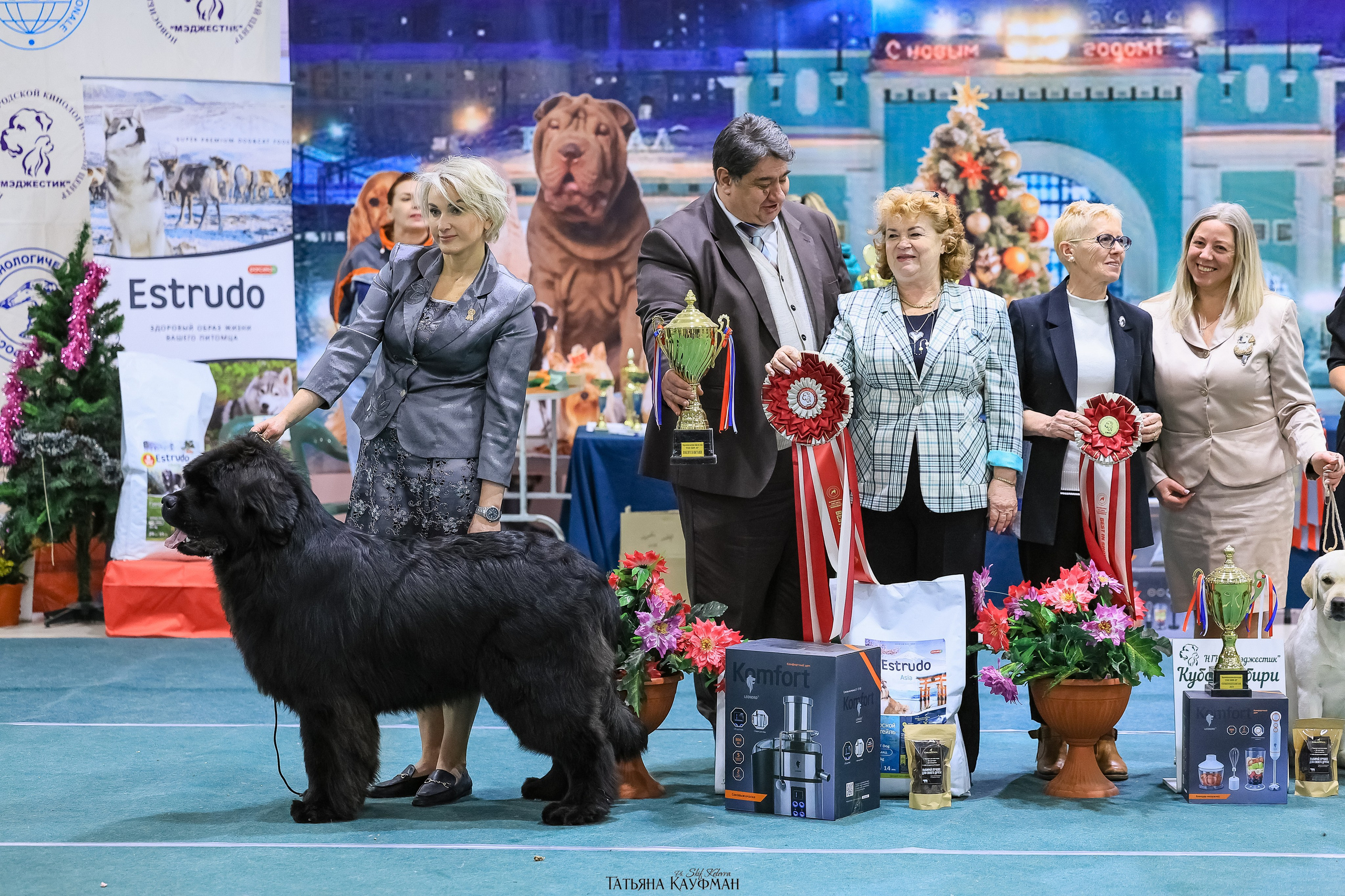 6-7.12.25 — 1-4 Национальные выставки собак в Новосибирске (2х рейтинговые). Фотограф Анималист из Новосибирска Татьяна Кауфман